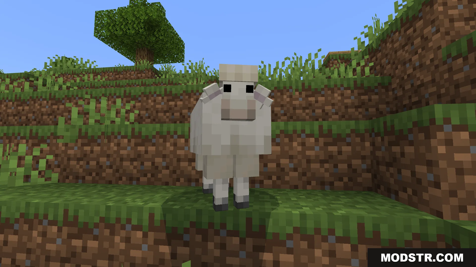 Better Farm Animals Texture Pack Screenshot 4 White sheep with an updated realistic custom model standing on a grass block