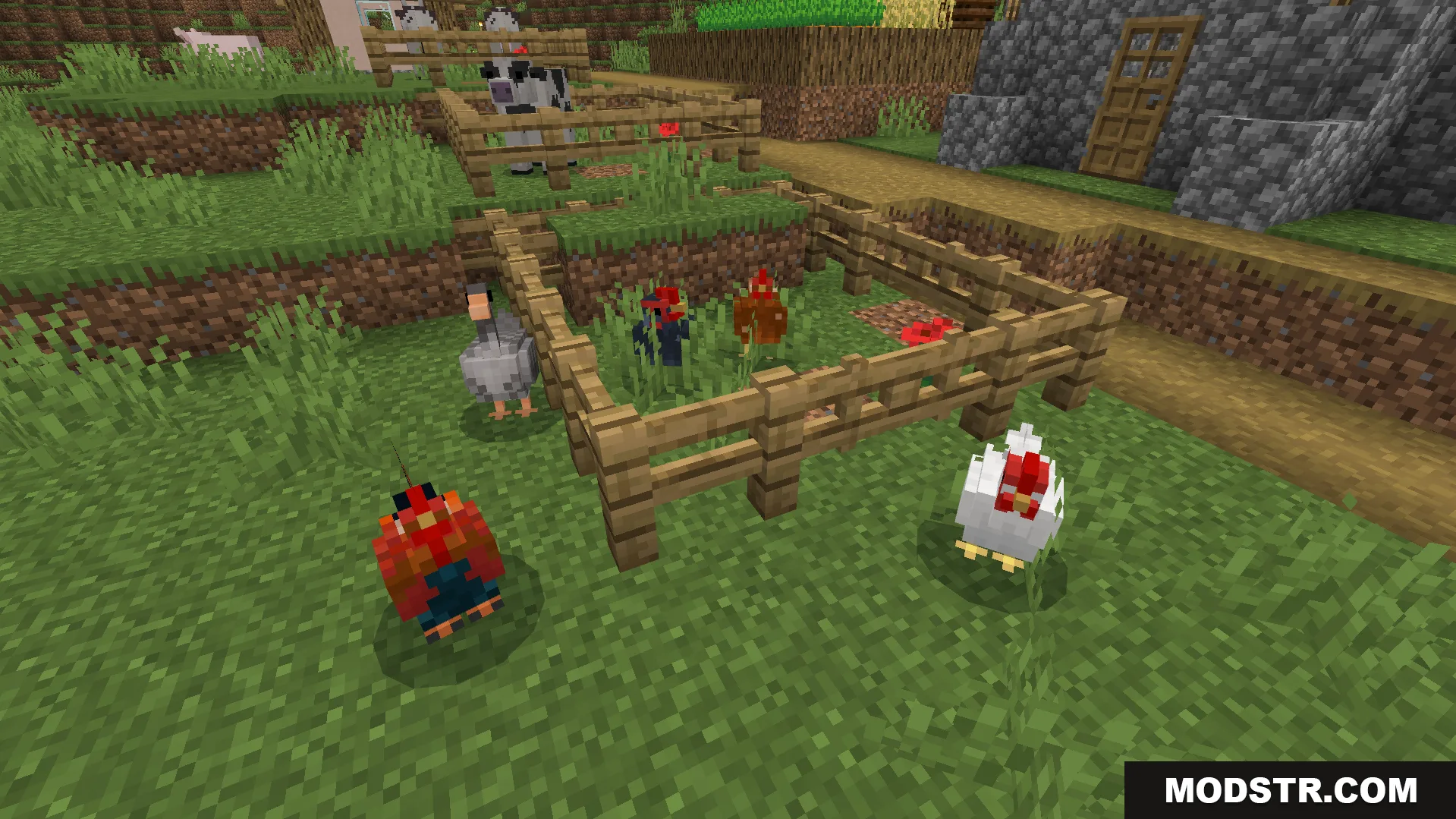 Better Farm Animals Texture Pack Screenshot 5 several chickens with updated realistic models and varied textures inside a wooden fence