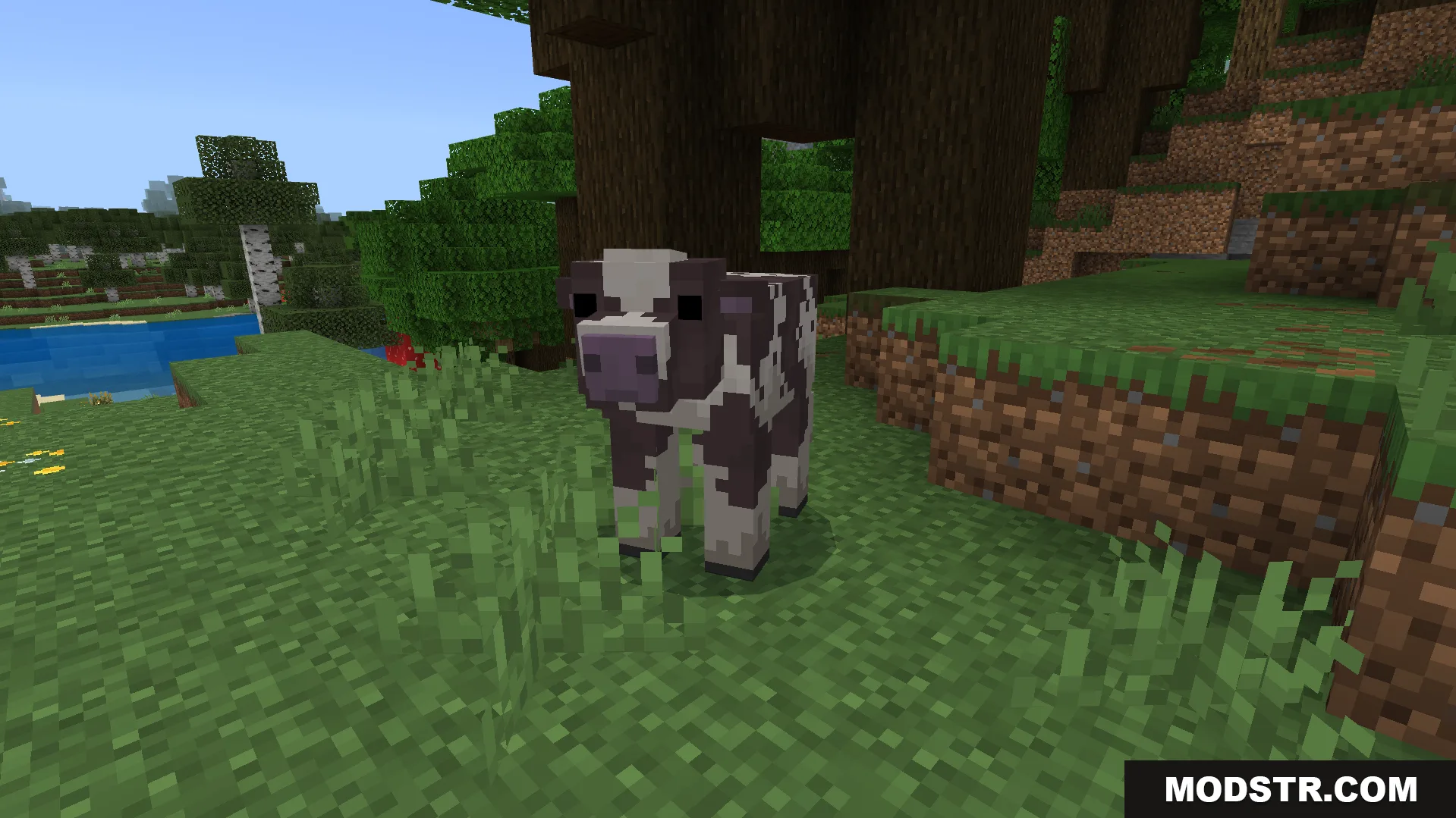 Better Farm Animals Texture Pack Screenshot 2 cow with a realistic custom model and new texture standing on grass