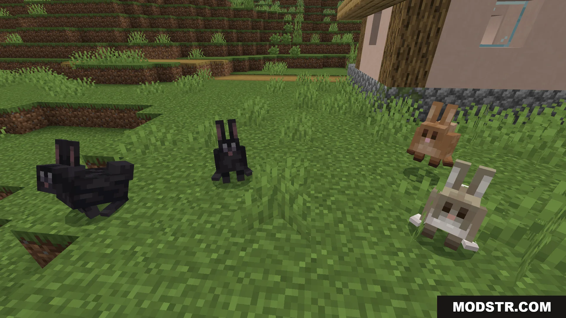 Better Farm Animals Texture Pack Screenshot 8 rabbits with fresh new looks and different texture varieties in a field