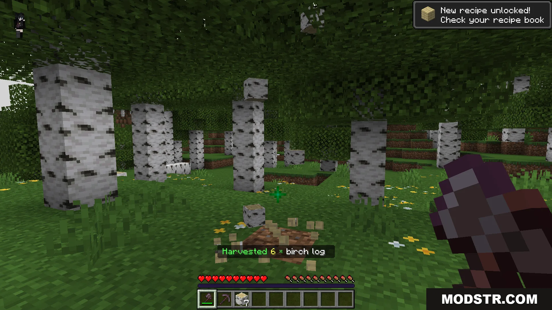player chopping down an entire birch tree at once dropping multiple logs