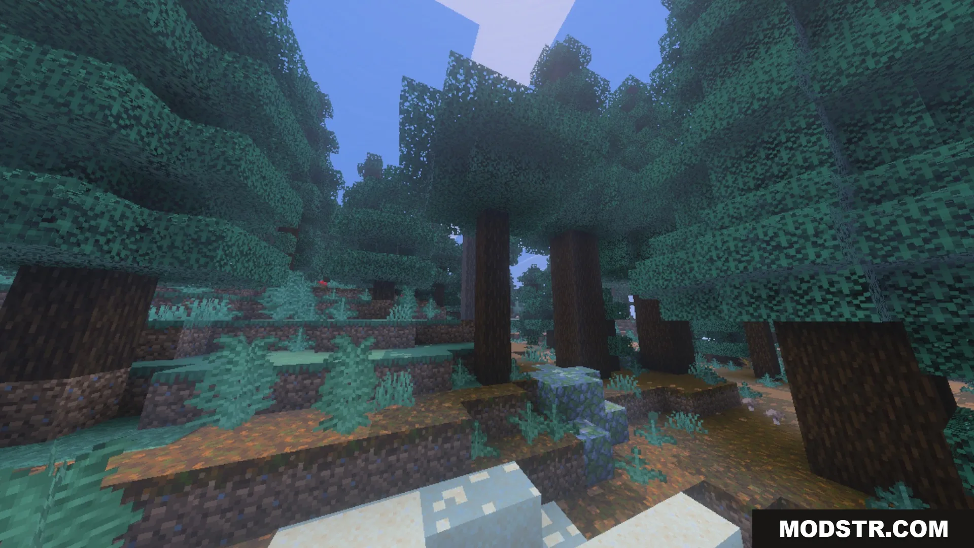 Better Waving Leaves Shader Screenshot 6 Dense spruce forest with dark green leaves swaying gently in the wind