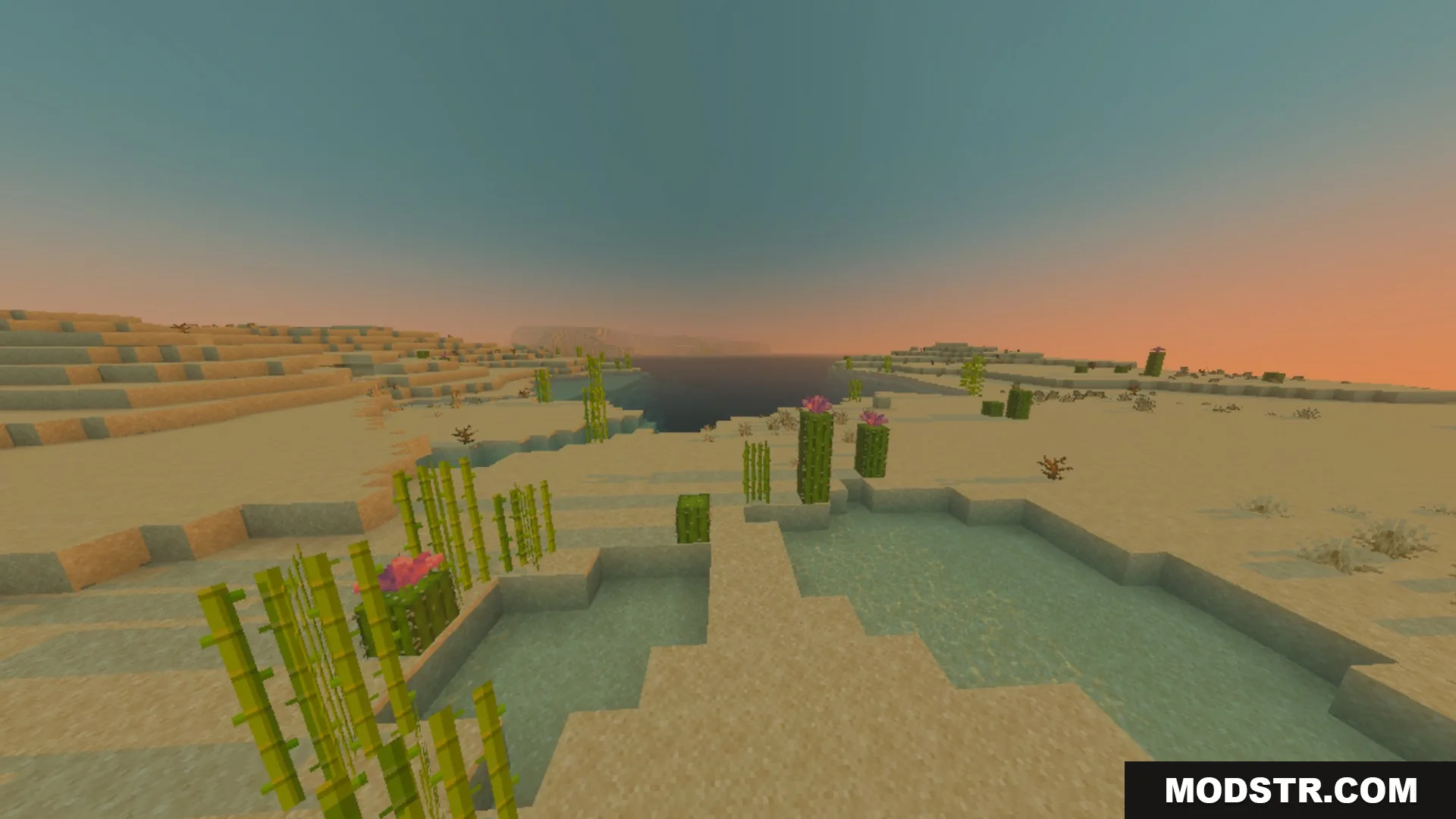 Better Waving Leaves Shader Screenshot 7 Sugar cane and flowering cacti grow near water in a desert at sunset