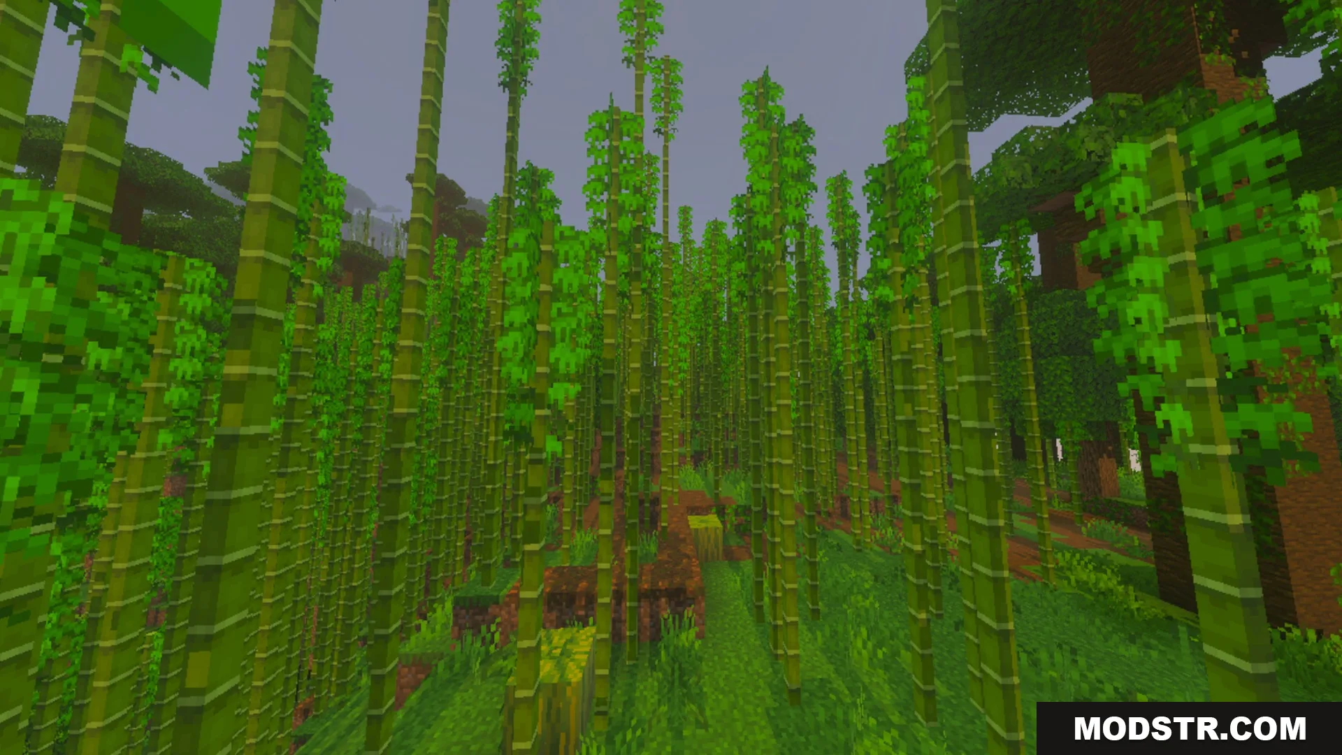 Better Waving Leaves Shader Screenshot 8 Tall green bamboo stalks grow densely in a lush jungle forest biome