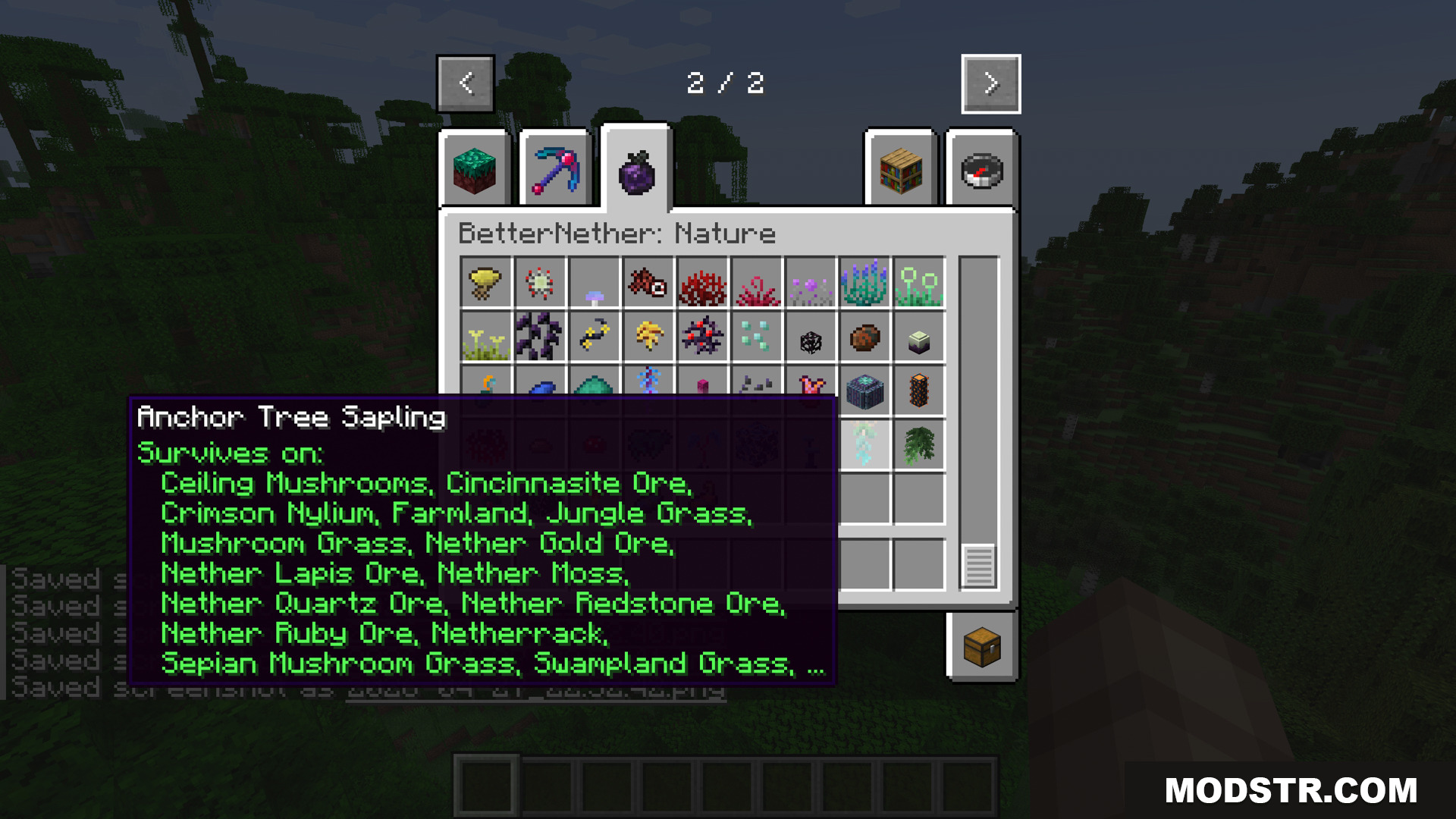 Betternether Forge Mod Screenshot 7 Anchor Tree Sapling tooltip in the BetterNether nature tab