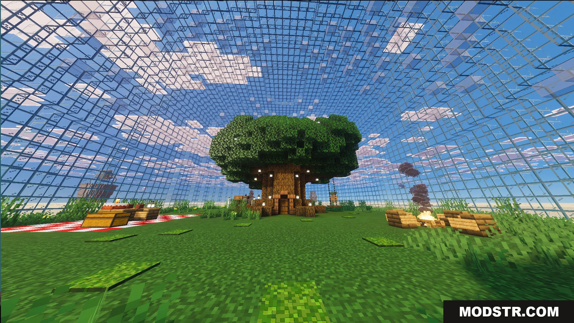 A large tree inside the glass dome house belonging to Sandy Cheeks