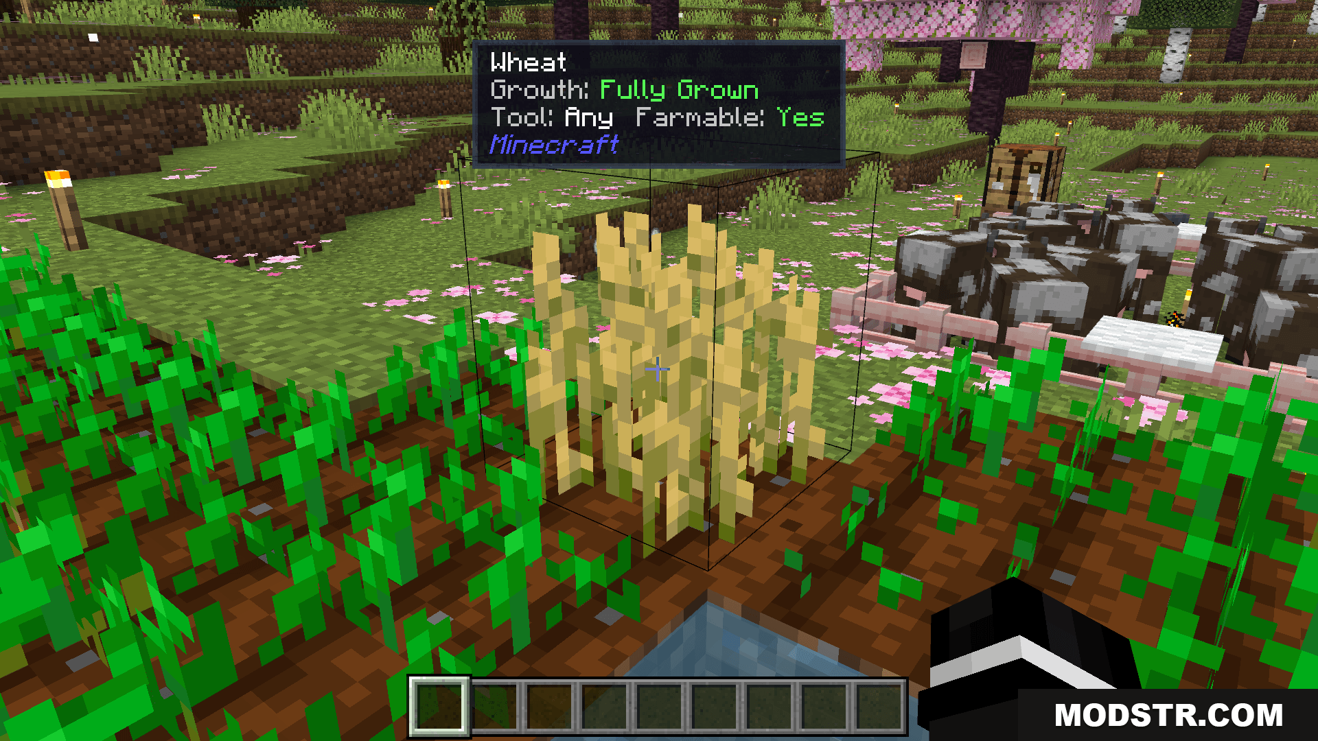 Block Entity Details Addon (26.x, 1.21) – Block & Mob Tooltips cover art