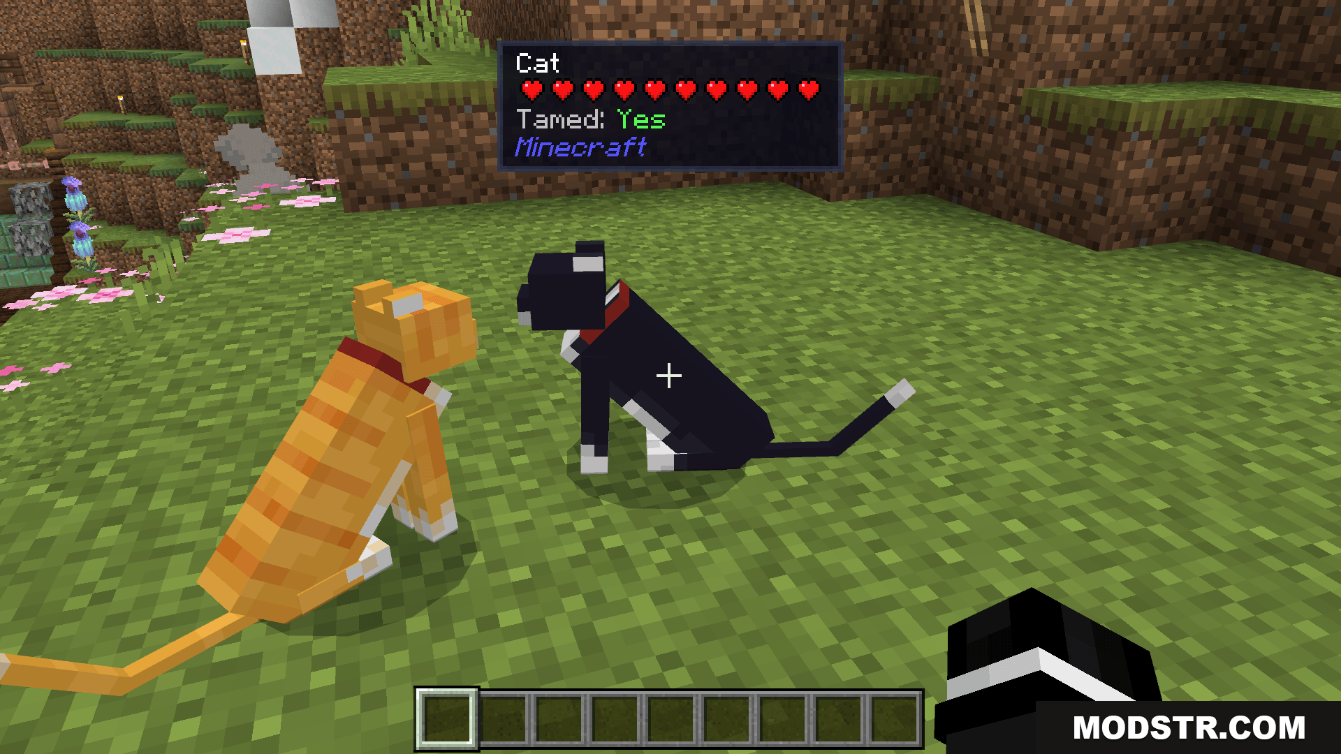 Block Entity Details Addon MCPE/Bedrock Mods & Addon Screenshot 3 Tamed Status & Health