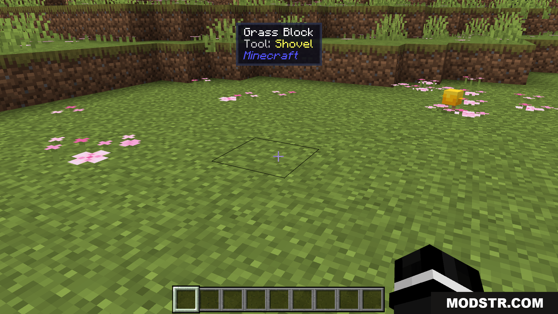 Block Entity Details Addon MCPE/Bedrock Mods & Addon Screenshot 2 Block Info