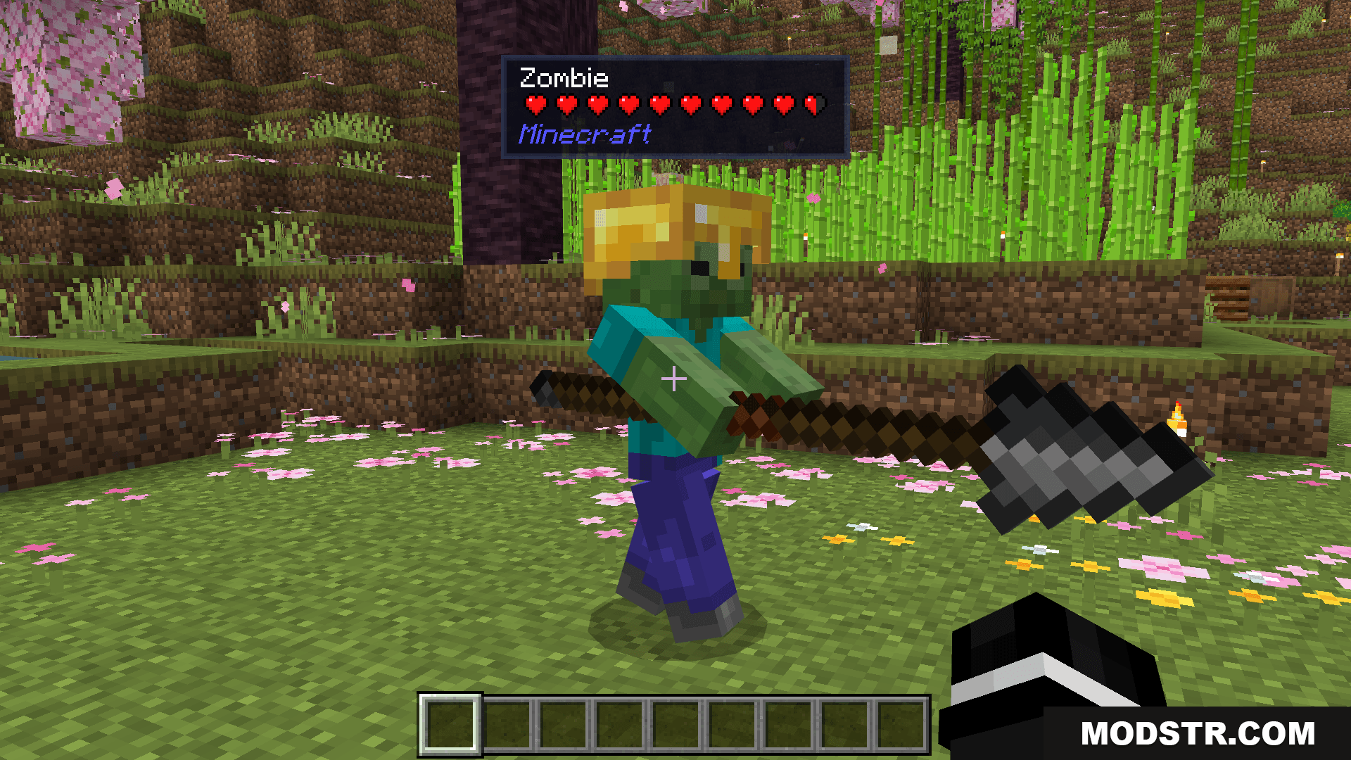 Block Entity Details Addon MCPE/Bedrock Mods & Addon Screenshot 4 Mob Health