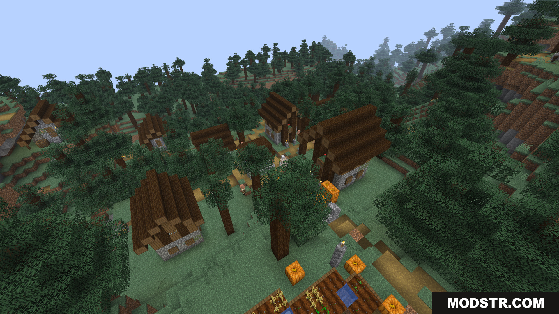 A village in a taiga biome with wooden houses and farms
