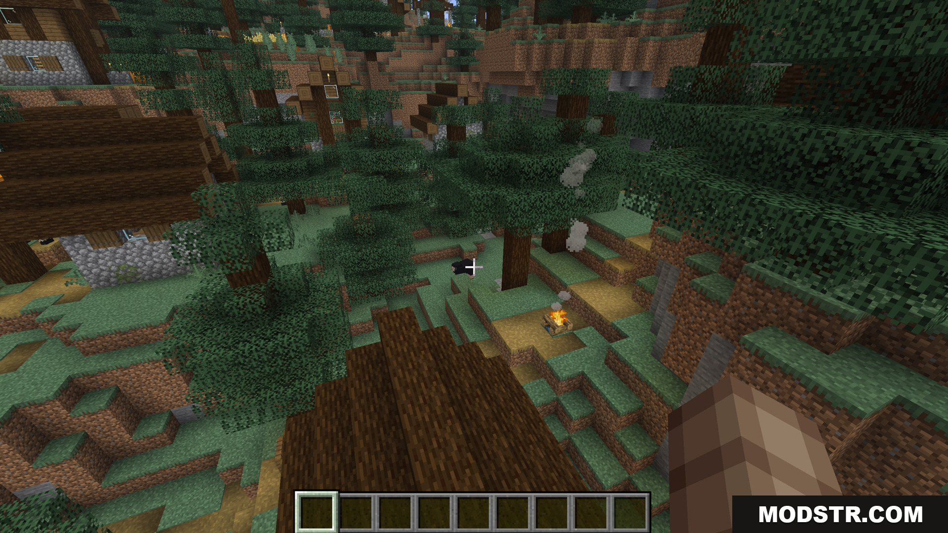 Looking down at a campfire in a taiga forest clearing