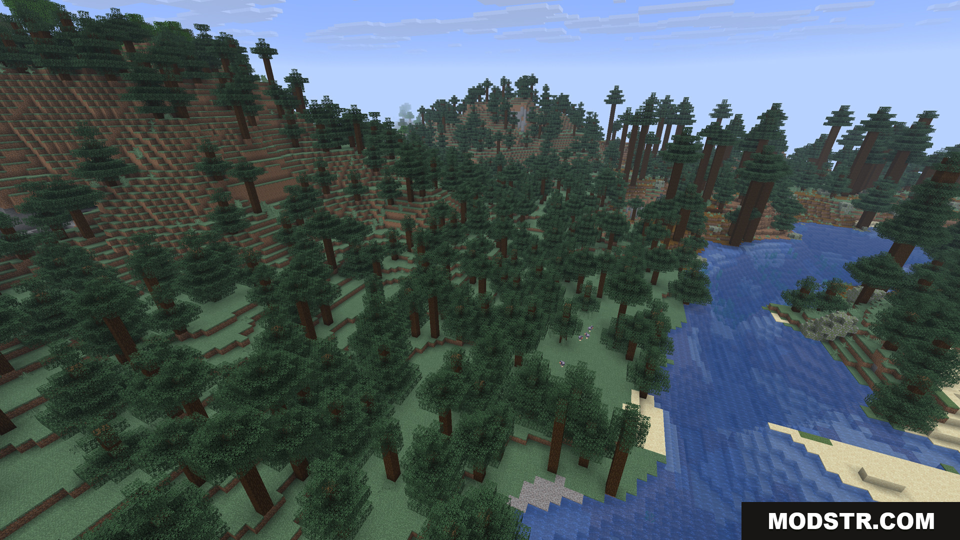 Minecraft taiga biome landscape with tall spruce trees and a river