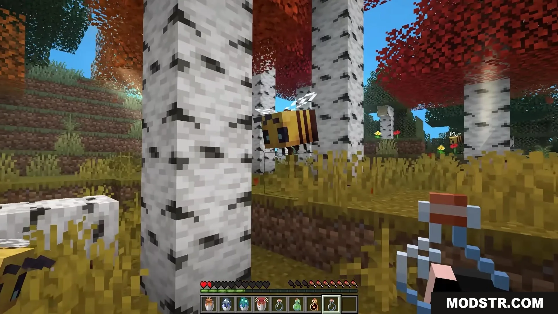 Bucket Em Remodeled Resource Pack Screenshot 4 Player holding a captured bee in a glass bottle while exploring birch forest