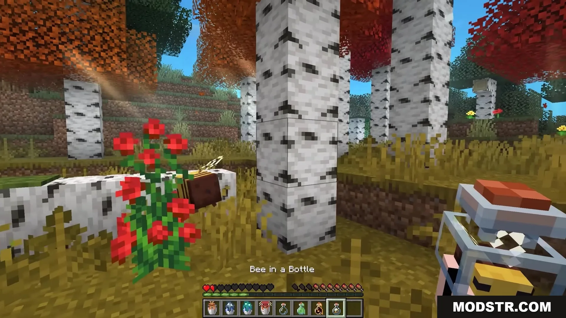 Bucket Em Remodeled Resource Pack Screenshot 5 Player holding a 3D bee in a bottle in a birch forest