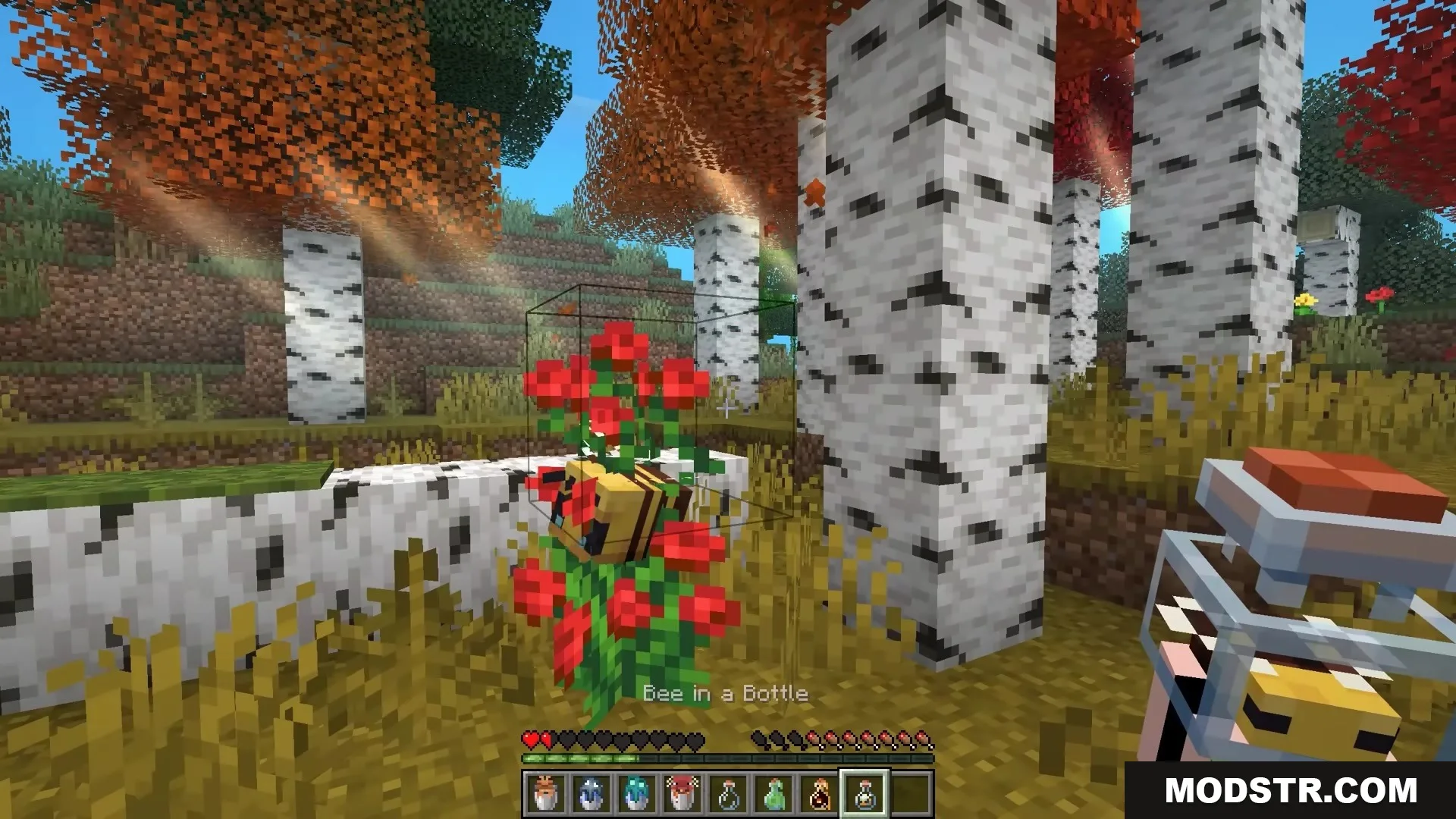 Bucket Em Remodeled Resource Pack Screenshot 6 Player capturing a bee near red flowers with a 3D bottle item
