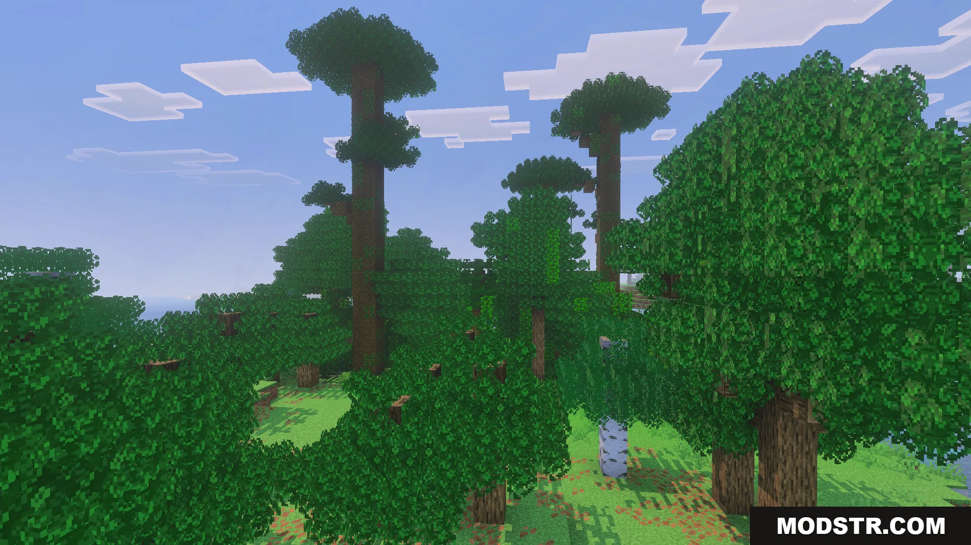 Bushy Trees Texture Pack Screenshot 8 Dense forest landscape with tall trees featuring thick and fluffy leaf canopies