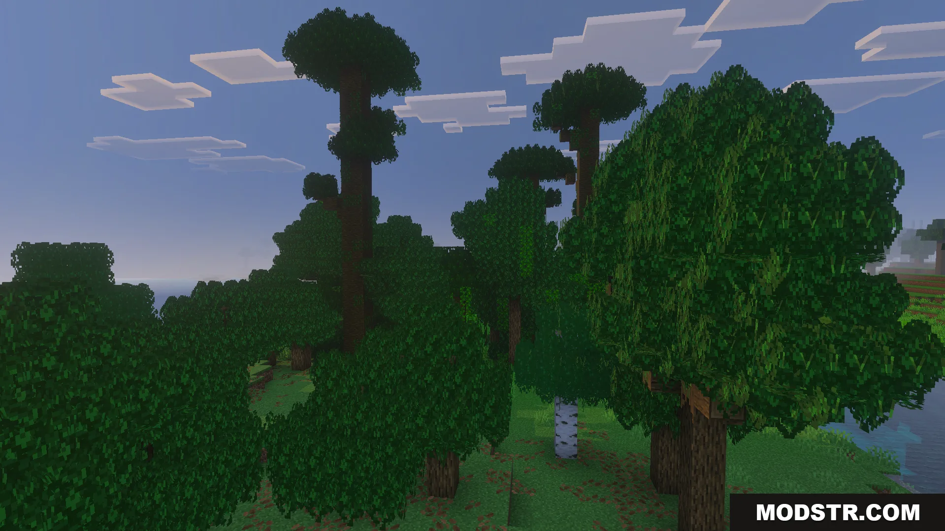 Bushy Trees Texture Pack Screenshot 3 Bushy Trees Texture Pack adds thick and full leaves to a dense forest
