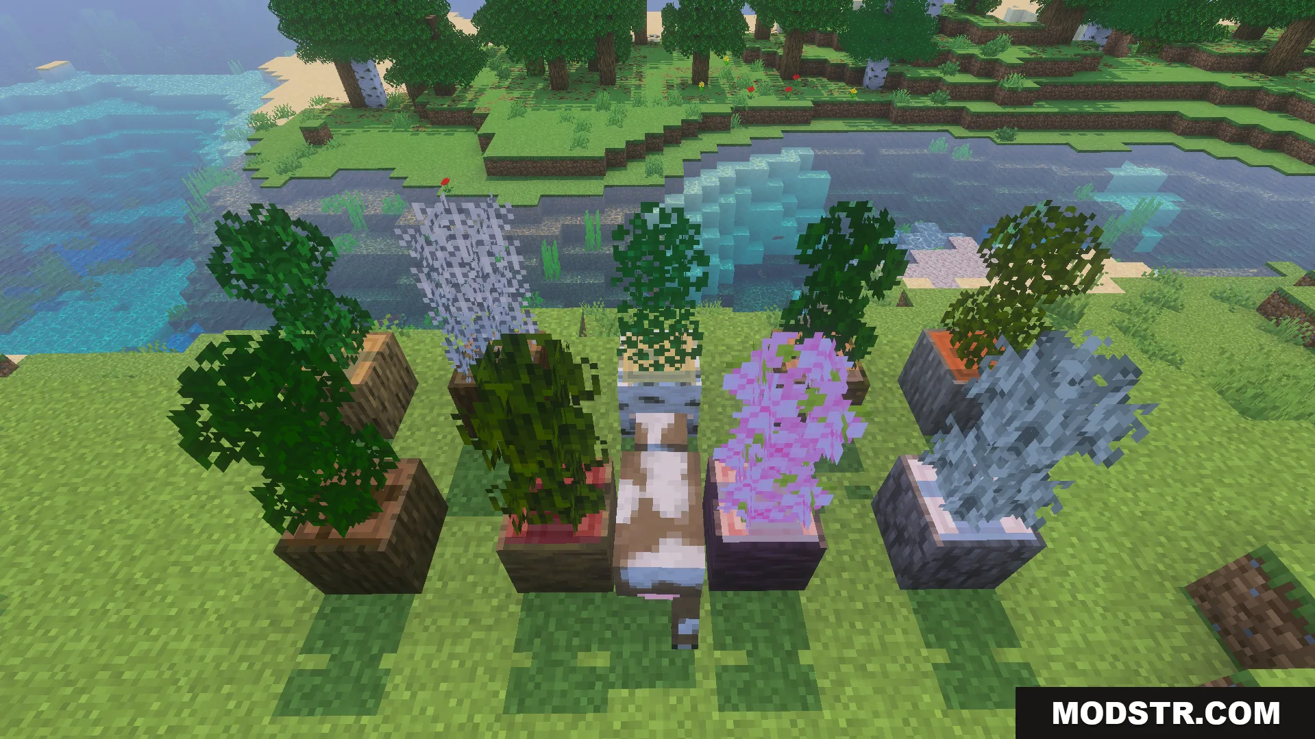 Bushy Trees Texture Pack Screenshot 7 Various small trees with bushy leaf textures in wooden log pots