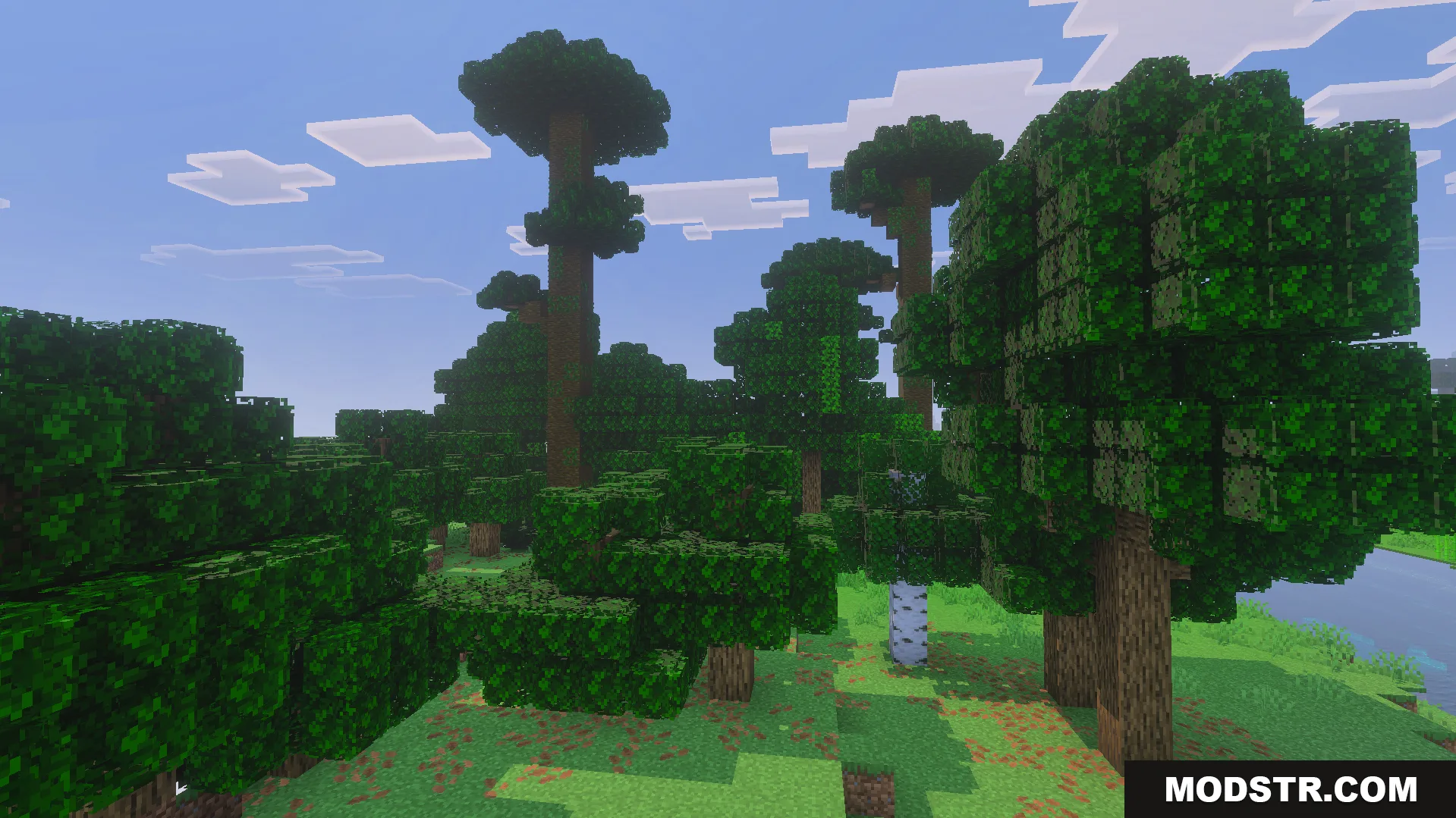 Bushy Trees Texture Pack Screenshot 6 Dense green forest featuring trees with thick and full bushy leaves
