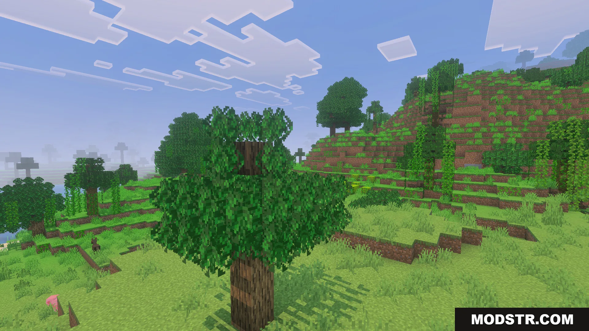 Bushy Trees Texture Pack Screenshot 9 Minecraft trees with thick bushy and fluffy leaves in a dense green forest
