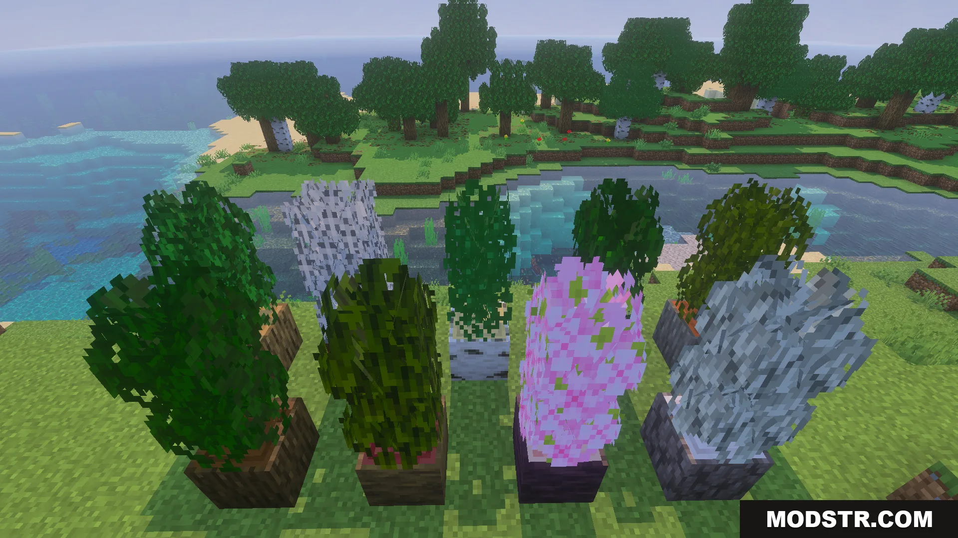 Bushy Trees Texture Pack Screenshot 4 Different styles of bushy leaves displayed on various tree blocks in game