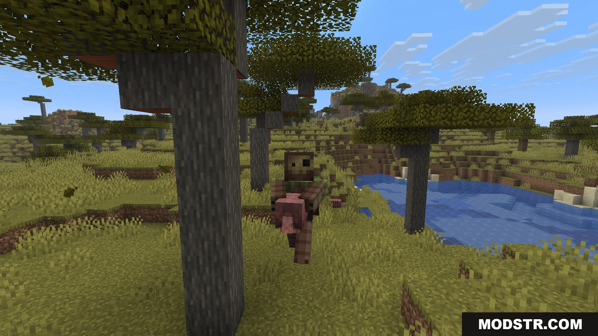 Carry Me Mod Screenshot 5 A Minecraft player carrying a pink pig through a savanna biome landscape