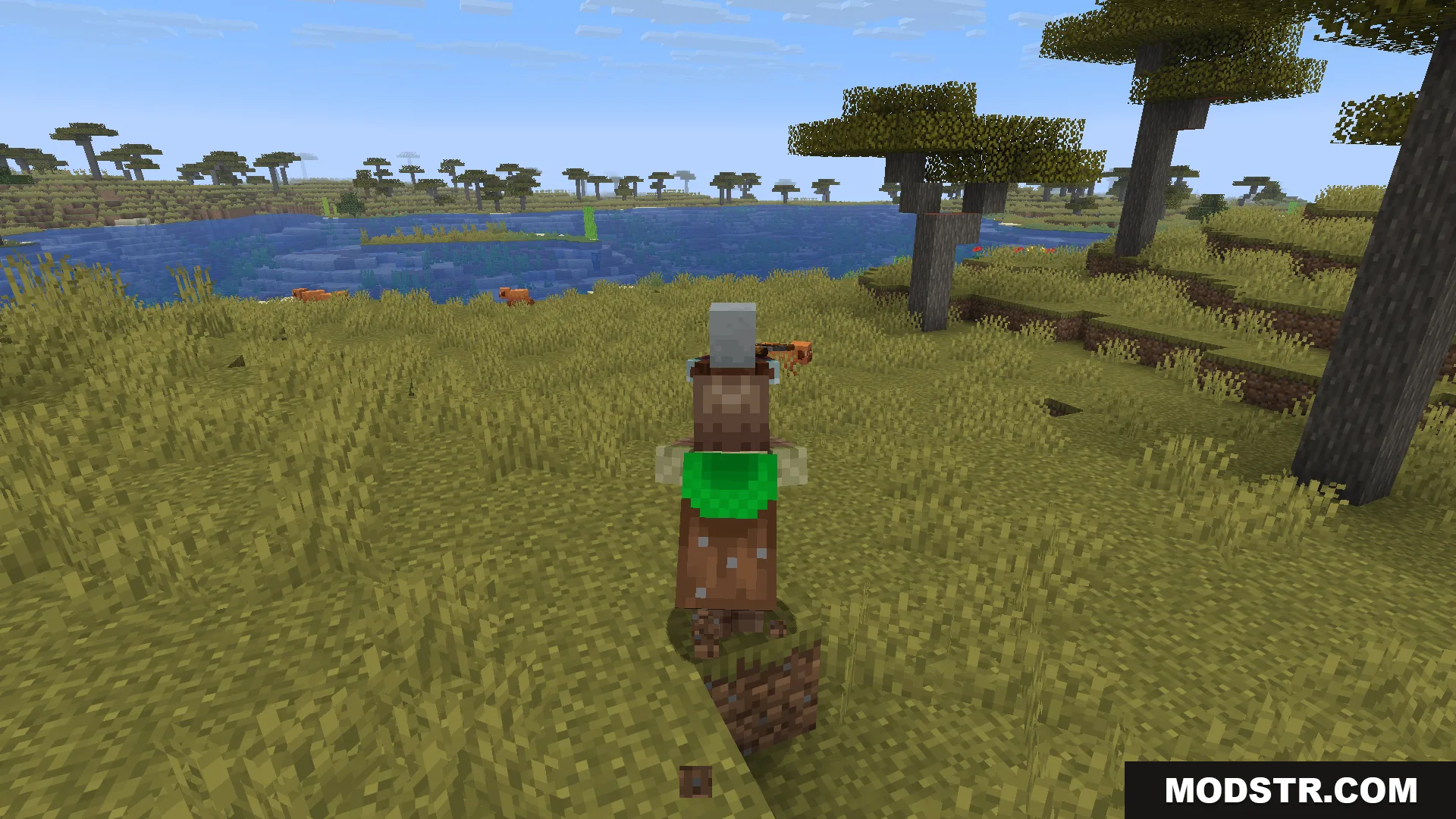 Carry Me Mod Screenshot 3 A player character carrying another player on their back in a savanna biome