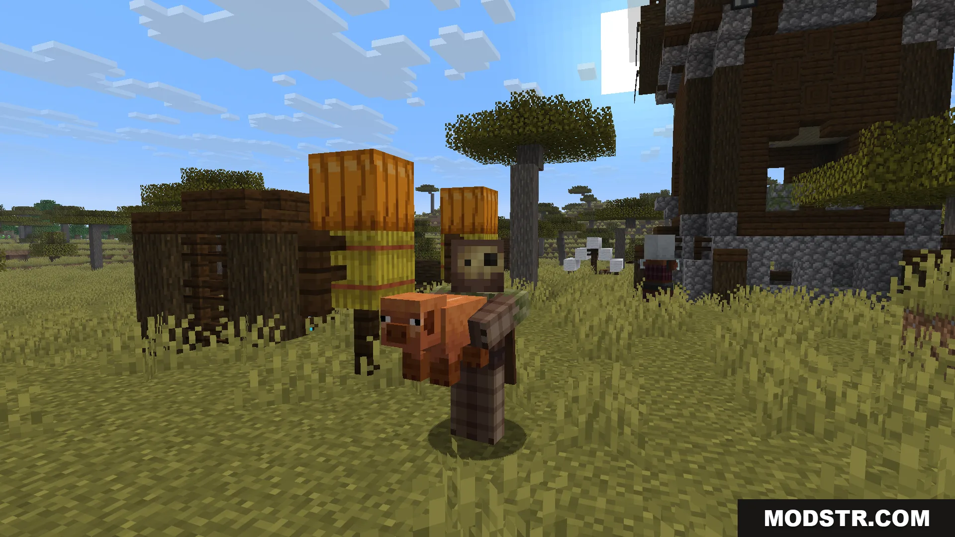 Carry Me Mod Screenshot 1 A player character carrying a pig in front of a pillager outpost