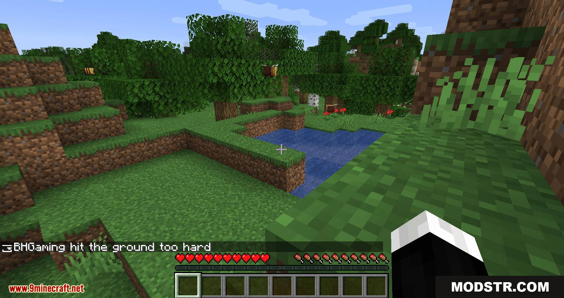 Chat Heads mod for minecraft 10