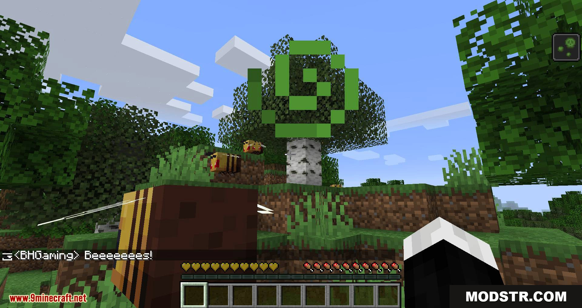 Chat Heads mod for minecraft 09
