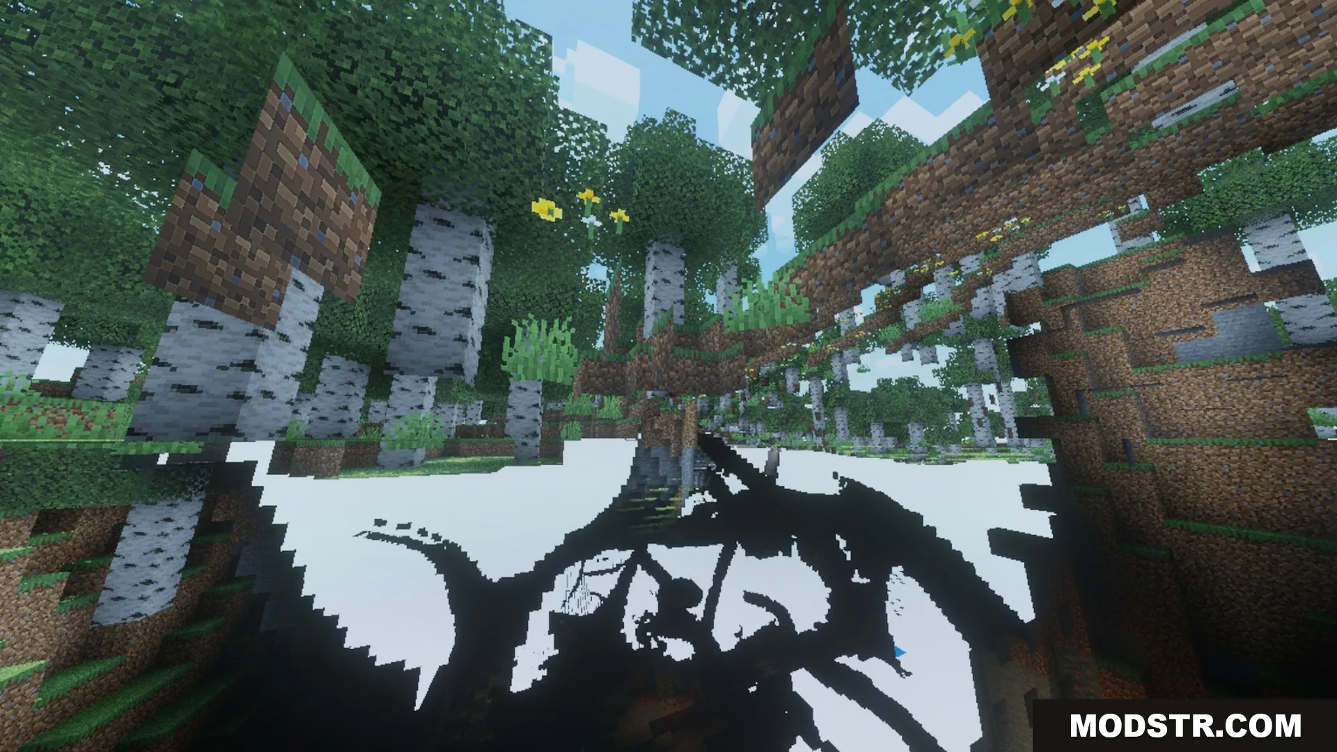 Chroma Shader Screenshot 8 Looking up through birch trees in a forest with enhanced visual shaders