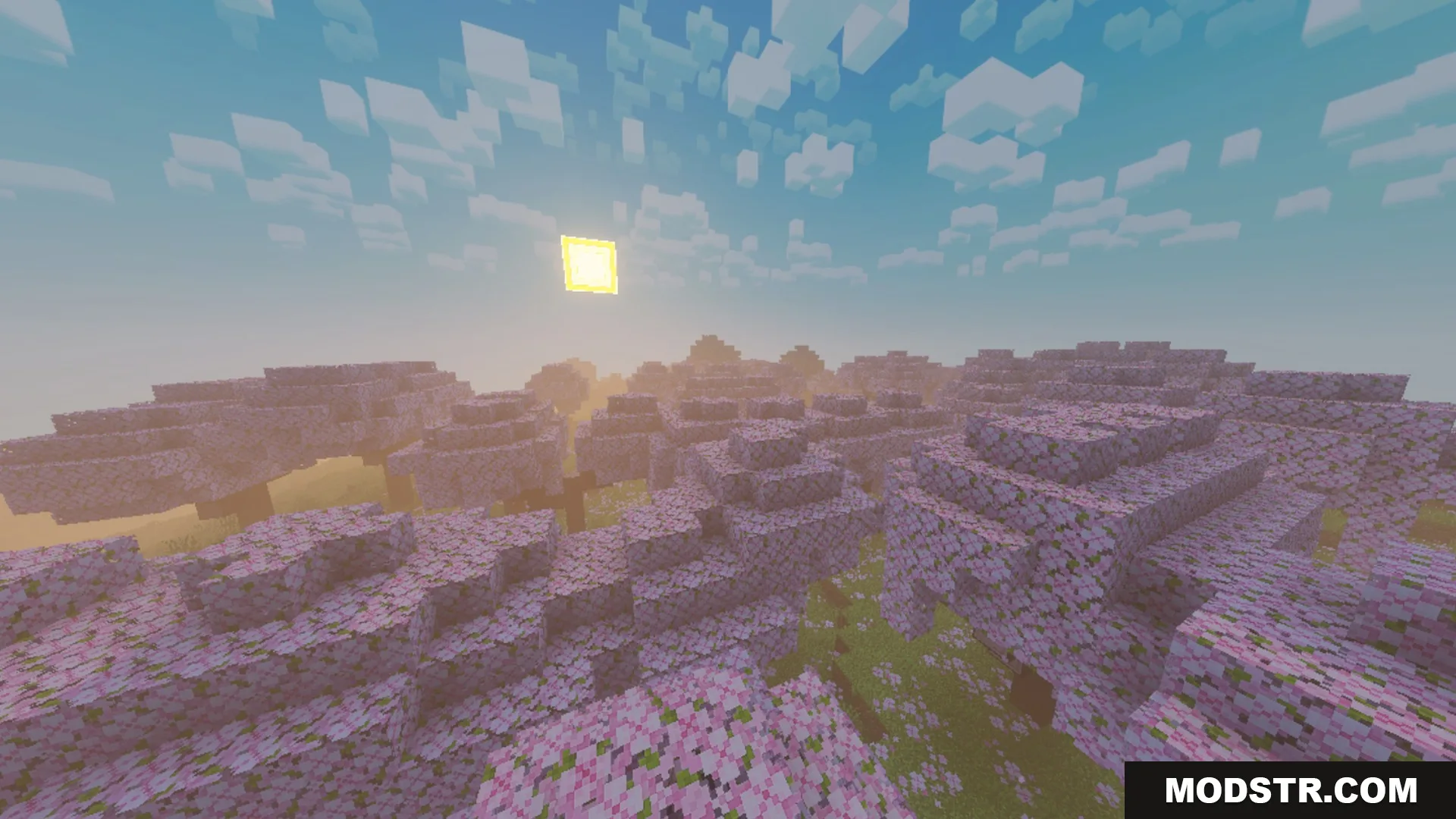 Chroma Shader Screenshot 2 A lush cherry blossom forest bathed in soft sunlight and realistic fog