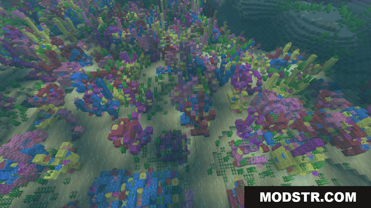 Clean Water Resource Pack Screenshot 14 A wide view of a colorful and dense coral biome
