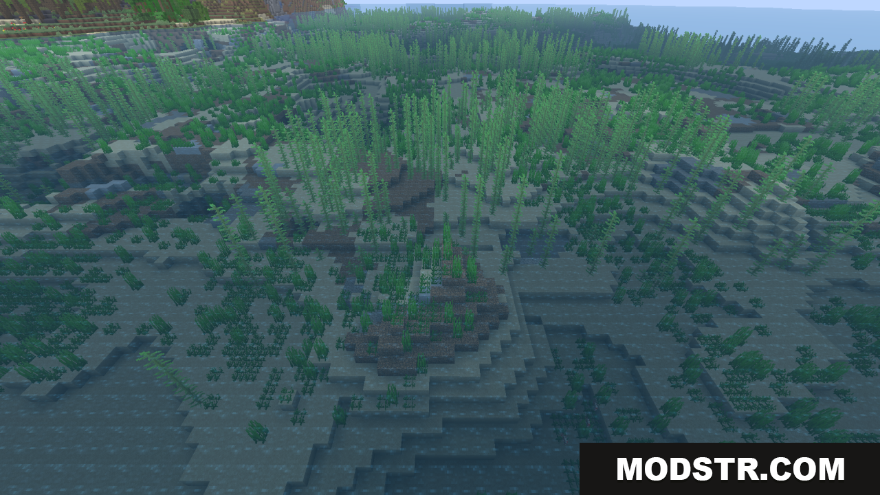 Clean Water Resource Pack Screenshot 10 Clear underwater view of seagrass and kelp beds