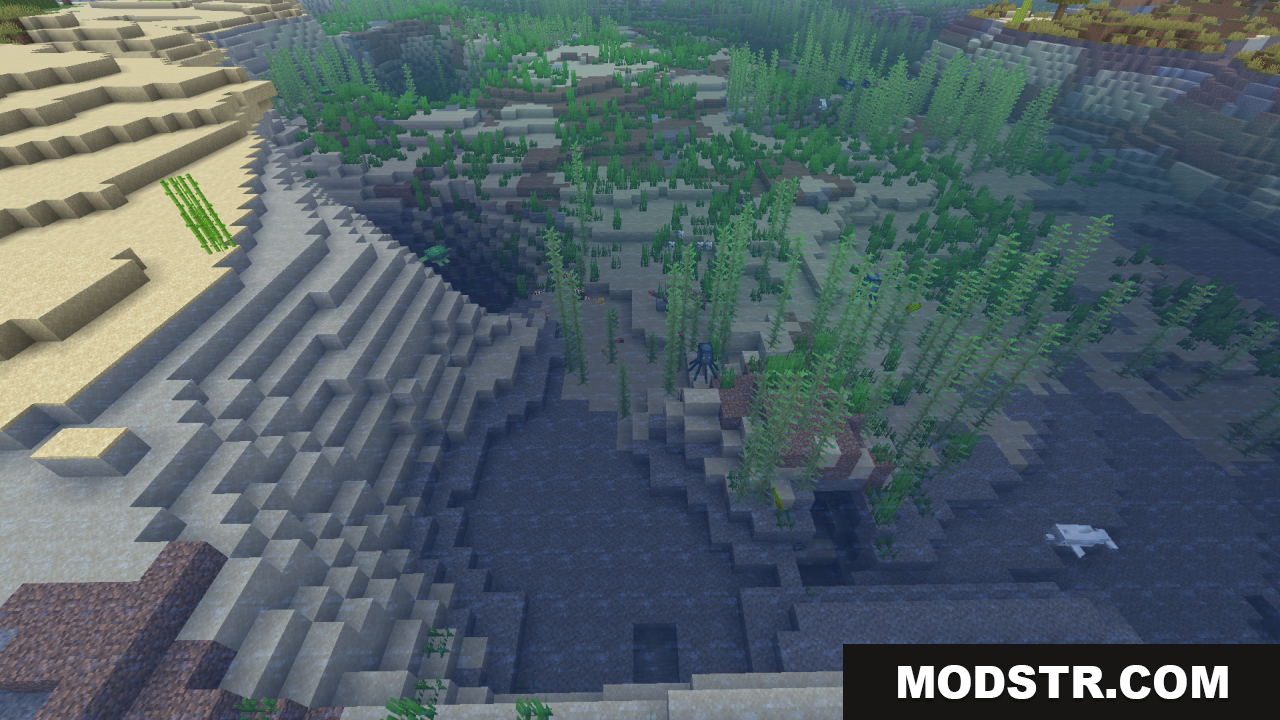 Clean Water Resource Pack Screenshot 7 Clear ocean water reveals the sandy seabed and kelp
