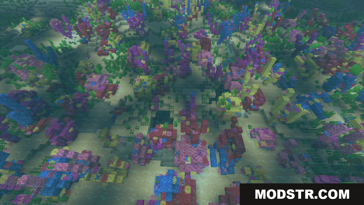 Clean Water Resource Pack Screenshot 15 Looking down at sprawling coral formations on the ocean floor