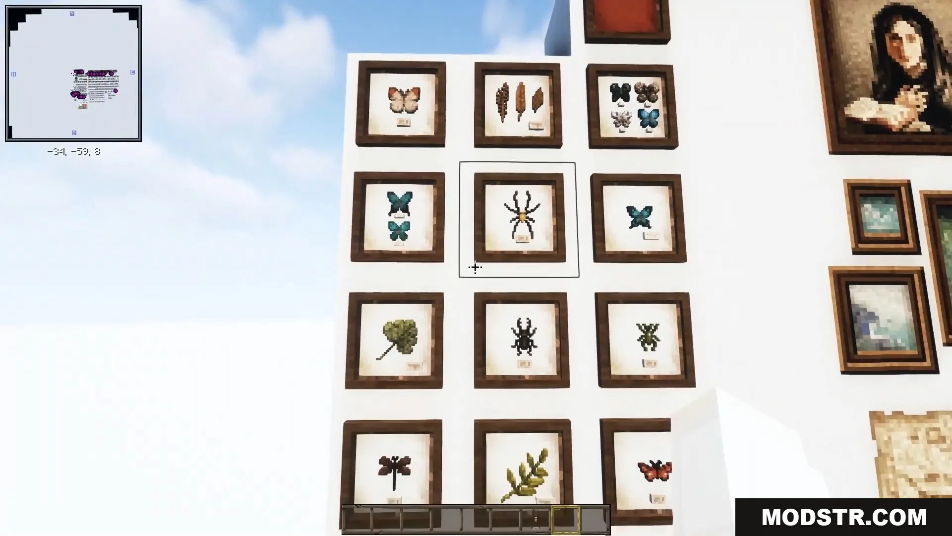 Framed insect specimens and vintage paintings decorate a clean white wall.