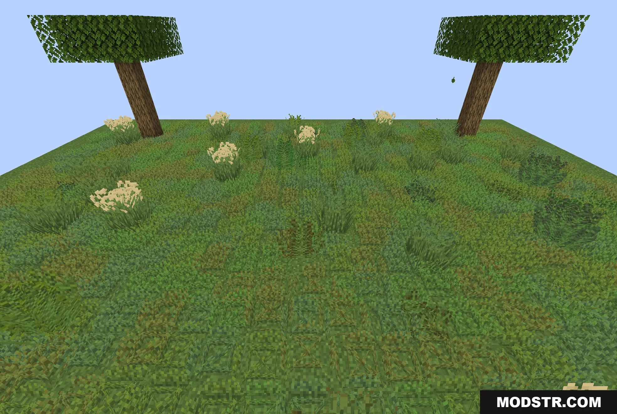 Colorful Grasses 9minecraft Resource Pack Screenshot 4 Two trees overlook a field featuring diverse grass models and small plants