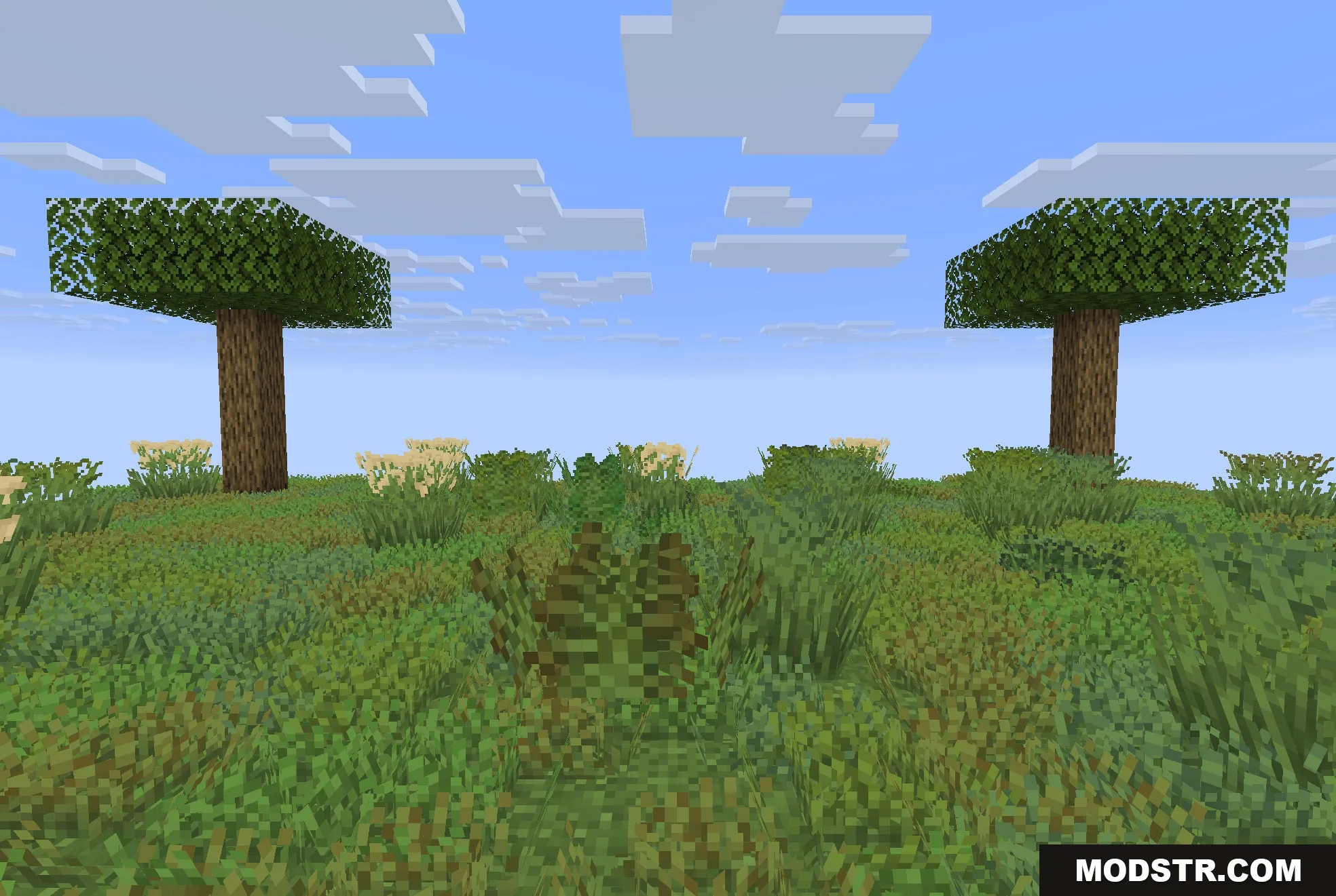 Colorful Grasses 9minecraft Resource Pack Screenshot 2 Detailed view of varied grass models and textures in a Minecraft world