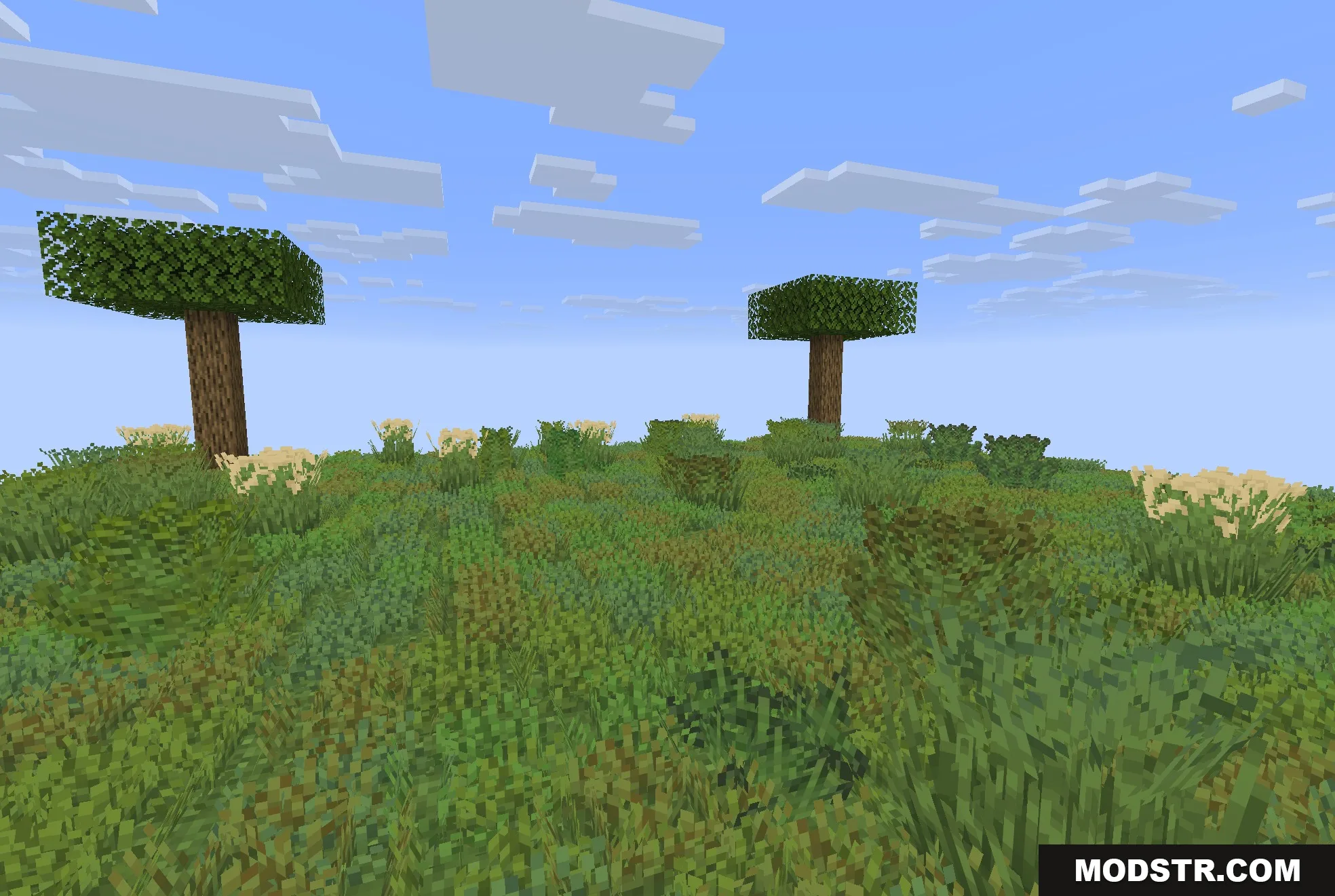 Colorful Grasses 9minecraft Resource Pack Screenshot 1 A Minecraft landscape with dense green grass and two trees under a blue sky