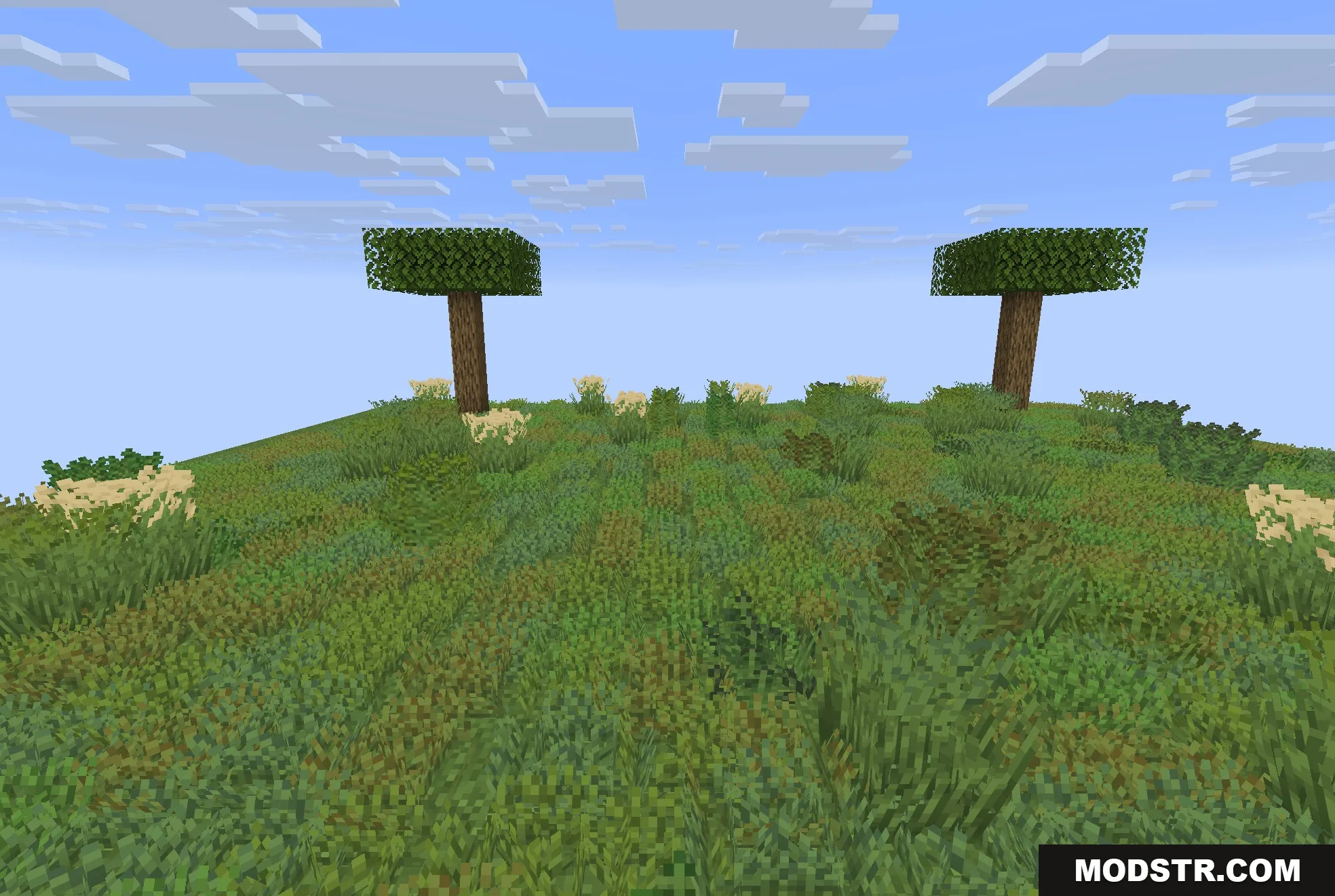 Colorful Grasses 9minecraft Resource Pack Screenshot 5 A vibrant field of grass with multiple model variants and two trees