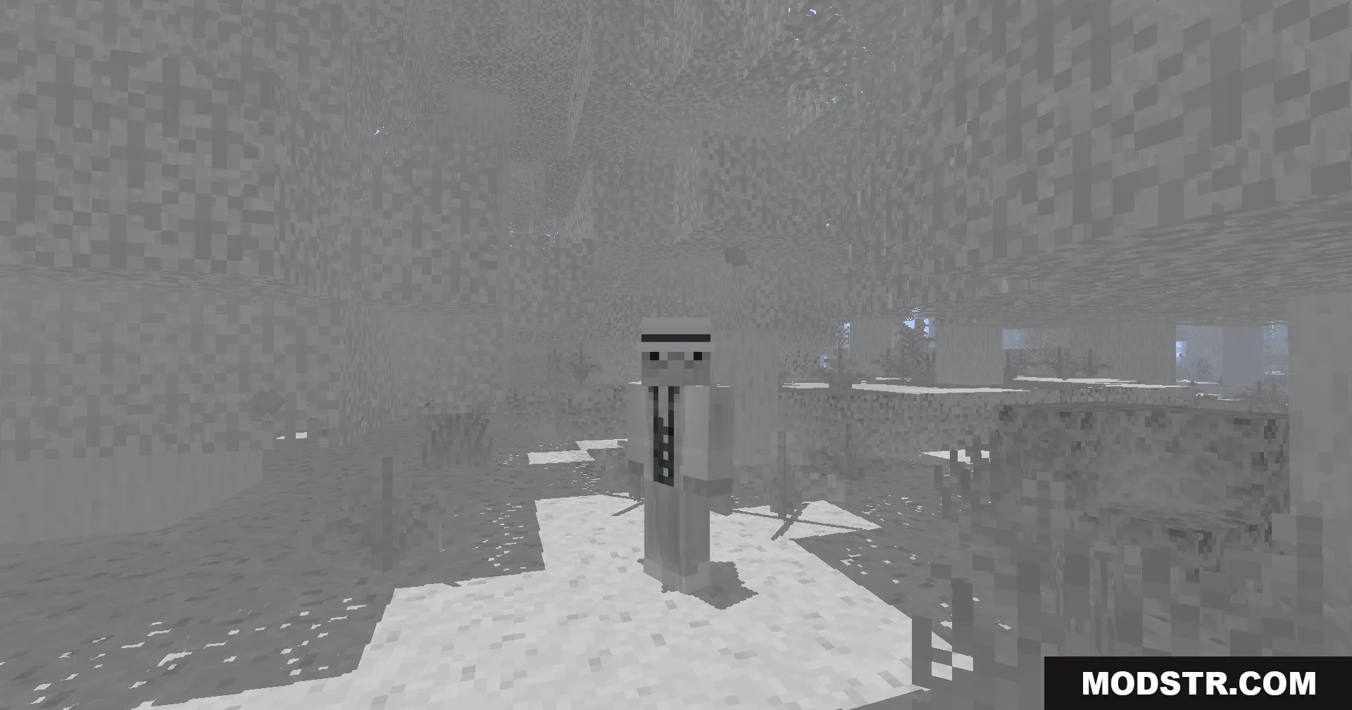 Colorless Black and White Shaders Screenshot 3 A player character wearing a suit standing in a foggy black and white biome