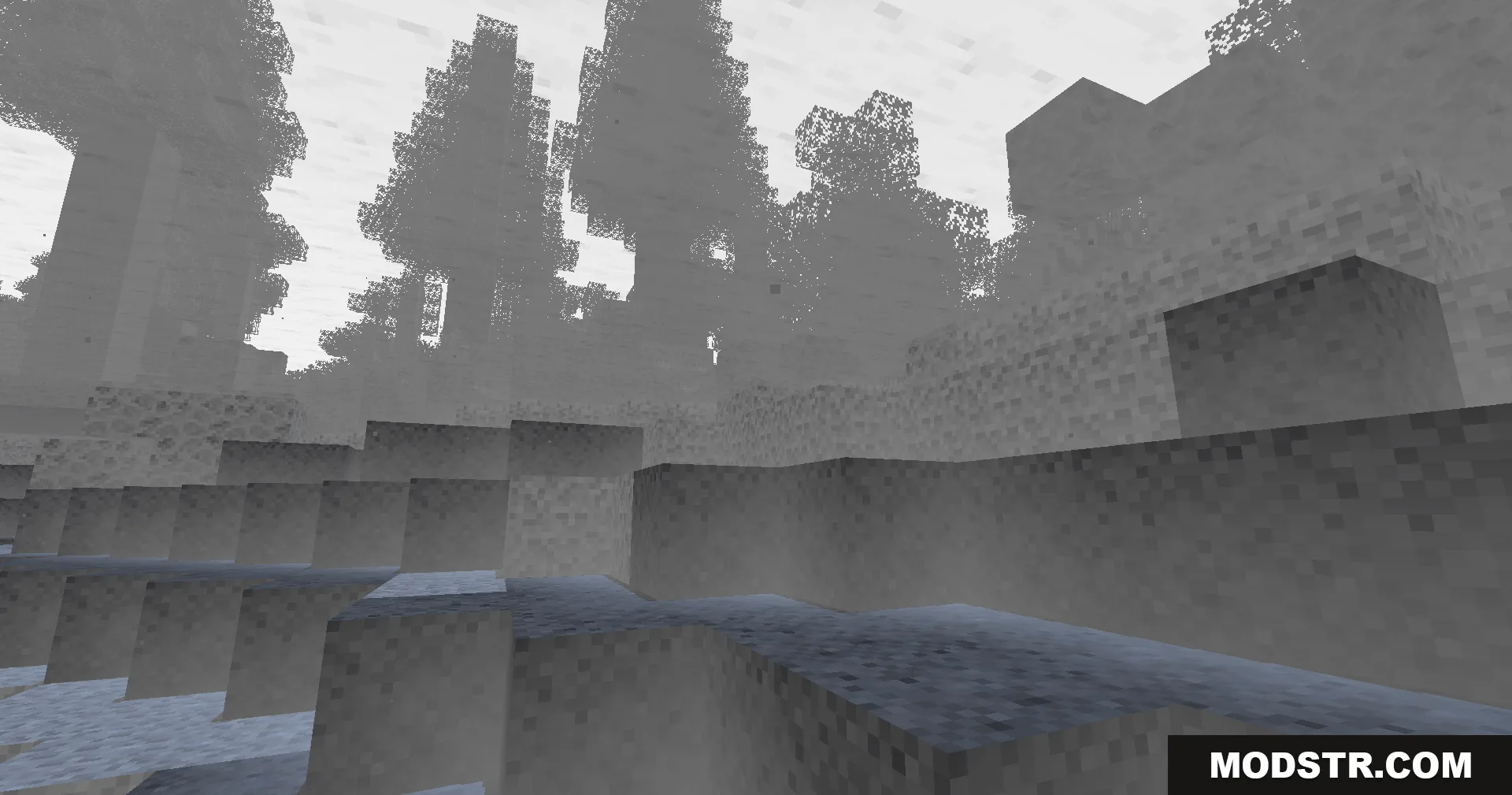 Colorless Black and White Shaders Screenshot 6 A foggy forest landscape shown in shades of gray and white