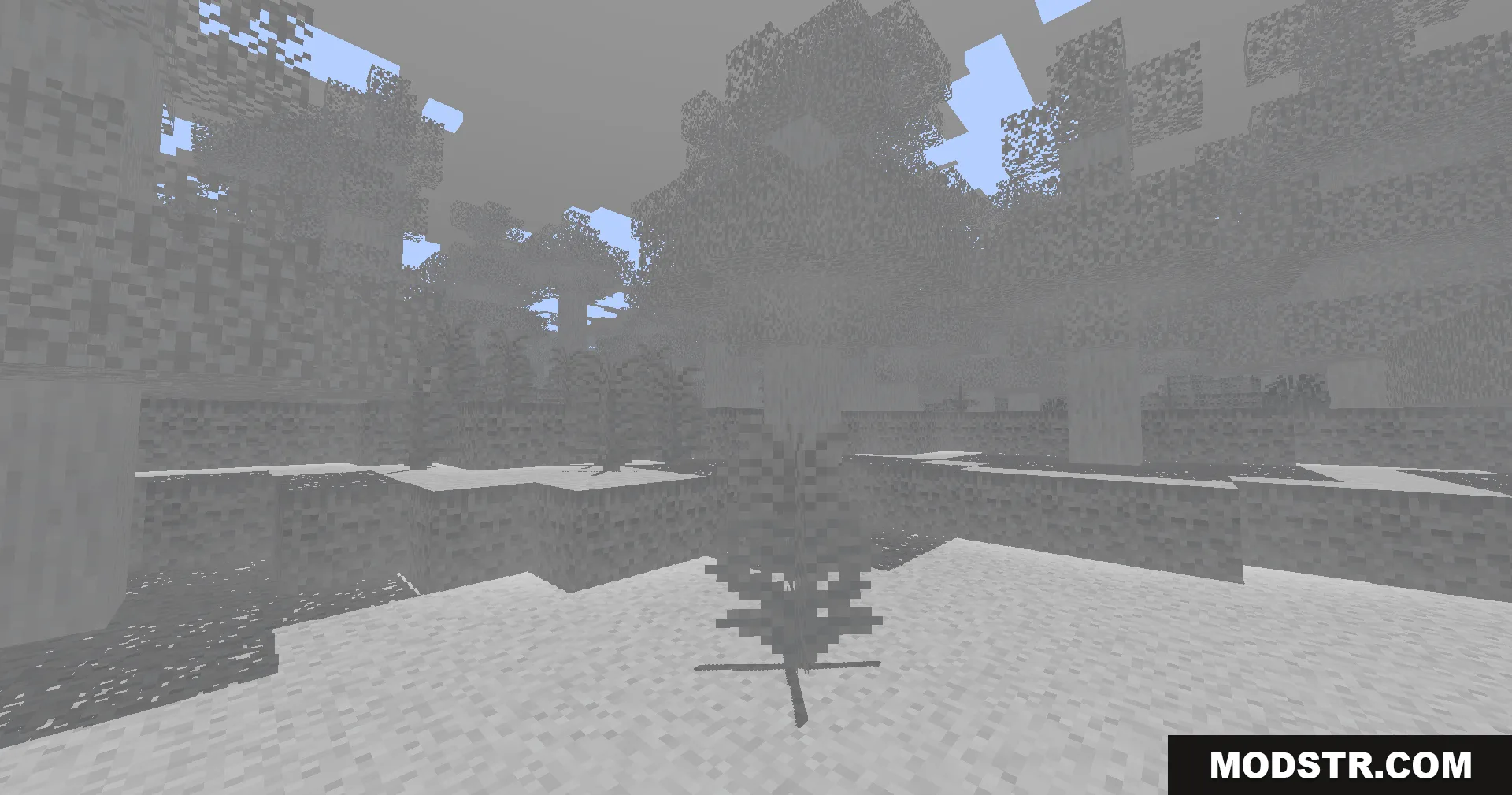 Colorless Black and White Shaders Screenshot 7 A snowy Minecraft forest with a sapling rendered in black and white