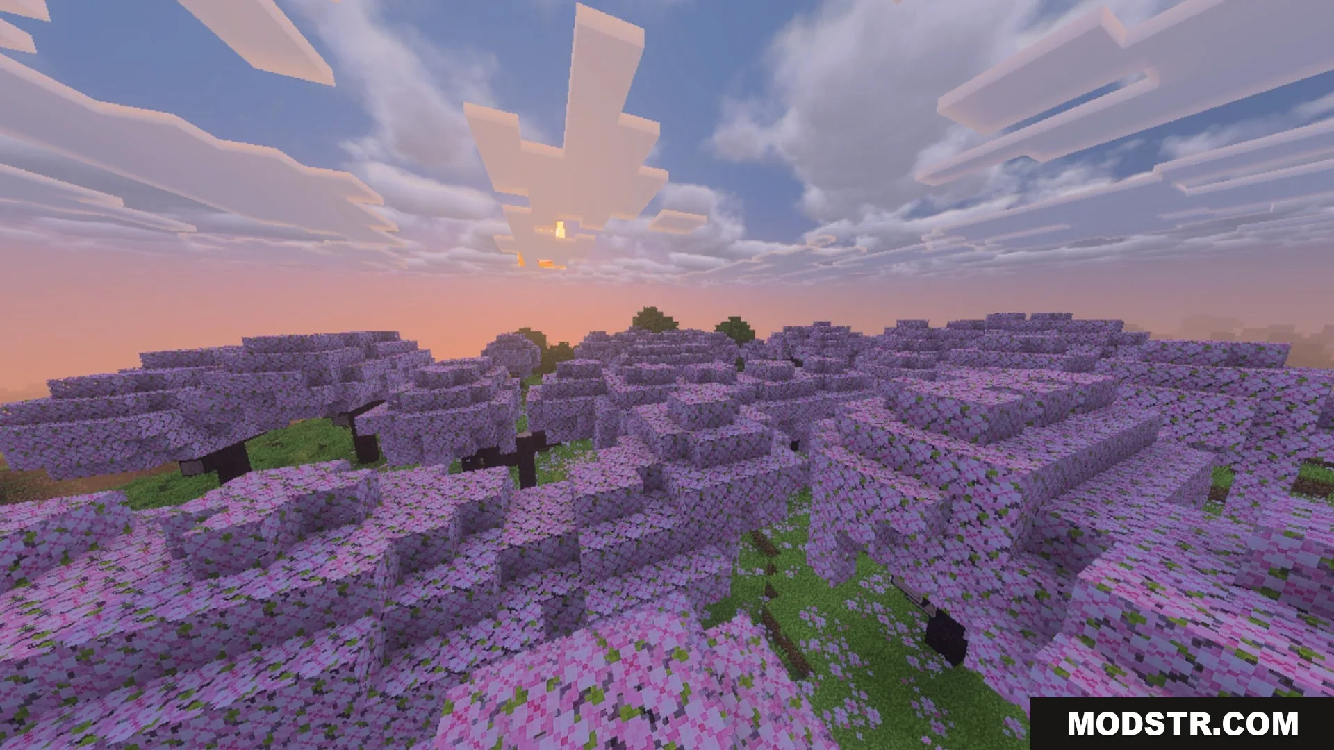 Complementary Unbound Clouds Shader Screenshot 1 Cherry blossom forest under a sunset sky with Complementary Unbound Clouds