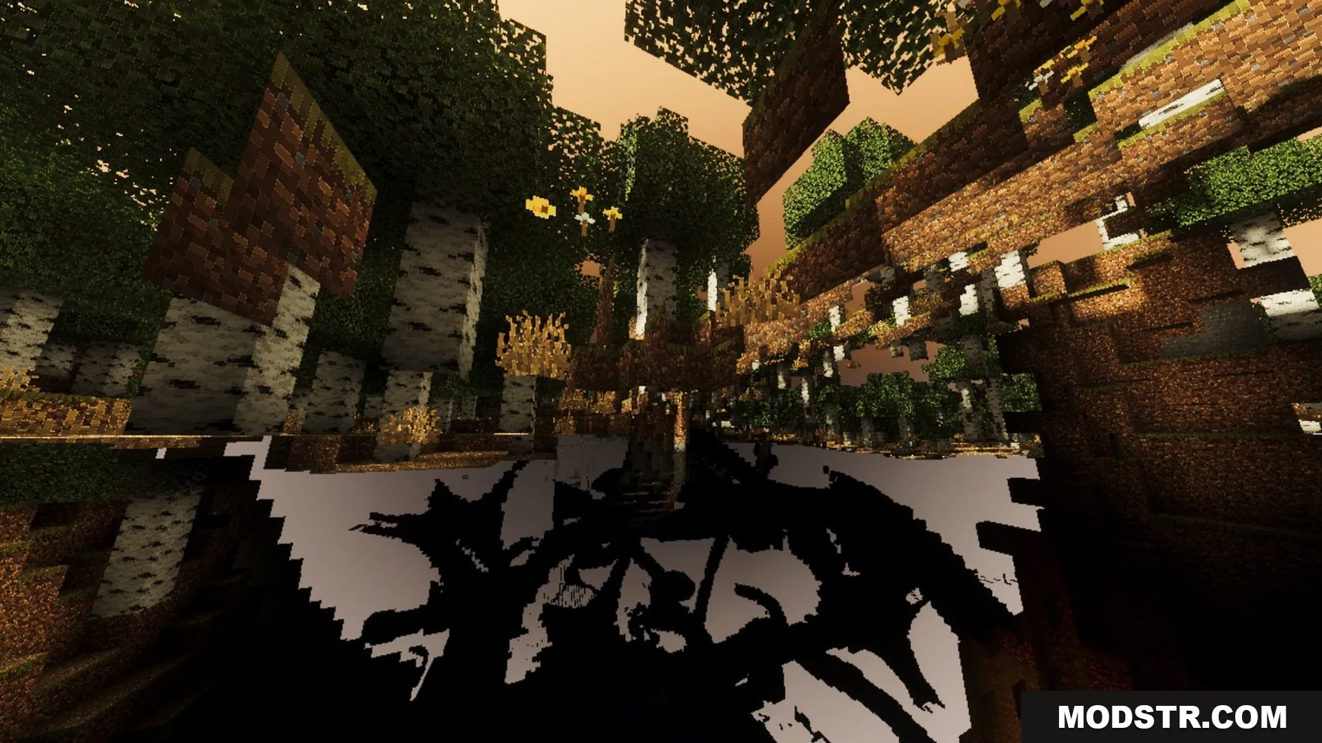 Complimentory Vibrant Visuals Shader Screenshot 2 Birch forest with deep shadows and orange sky in Minecraft Bedrock