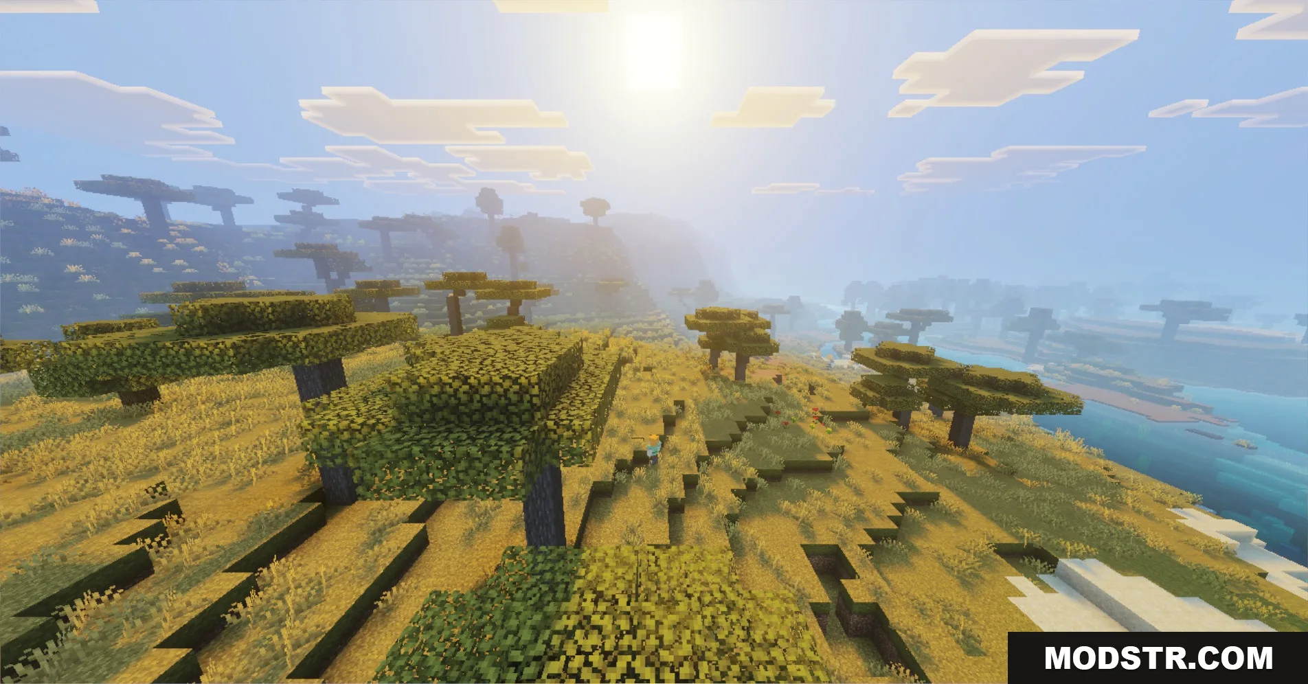 A bright sun shines over a vast savanna landscape with acacia trees