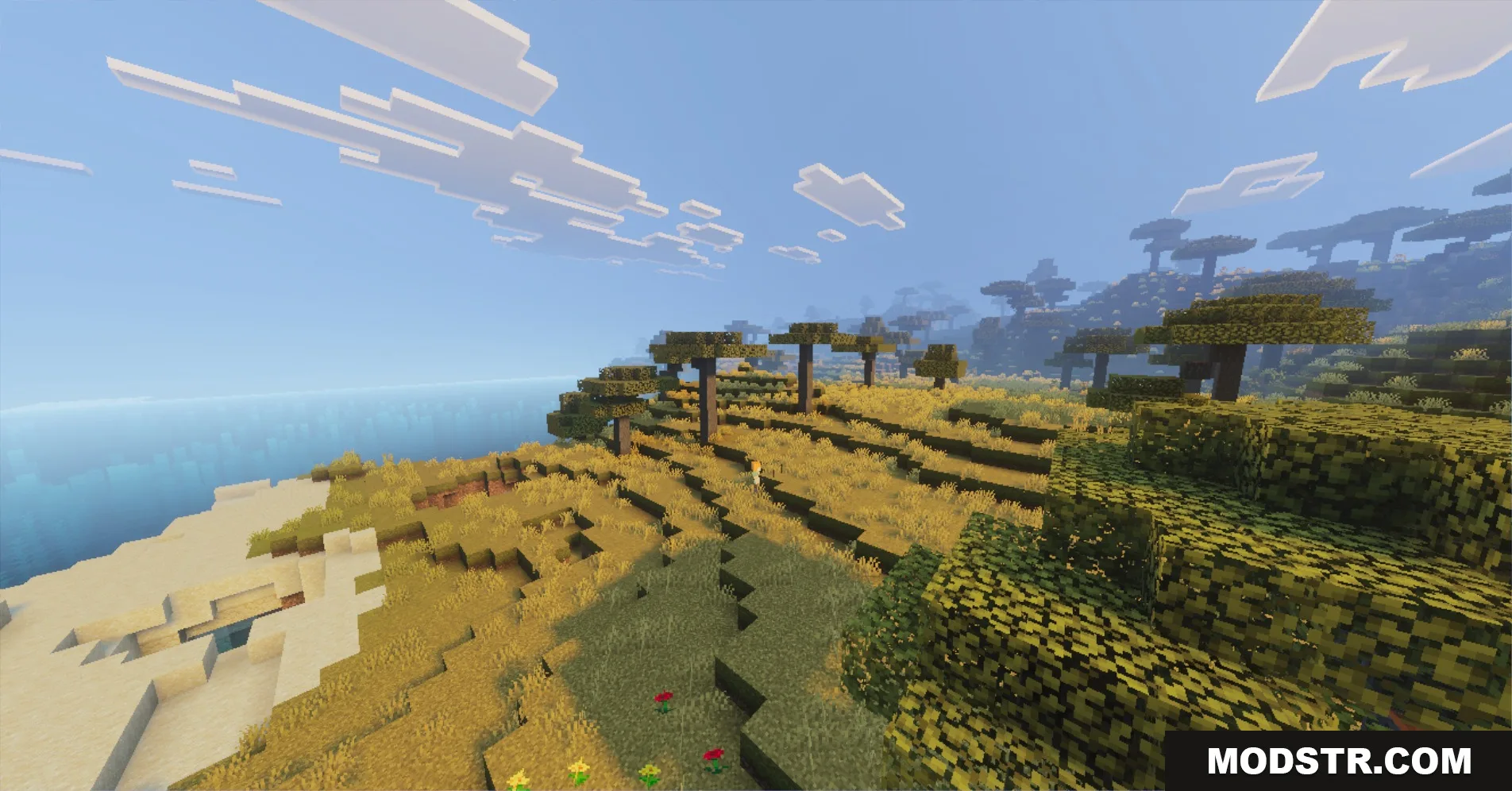 Scenic view of a savanna landscape with acacia trees and a vast ocean