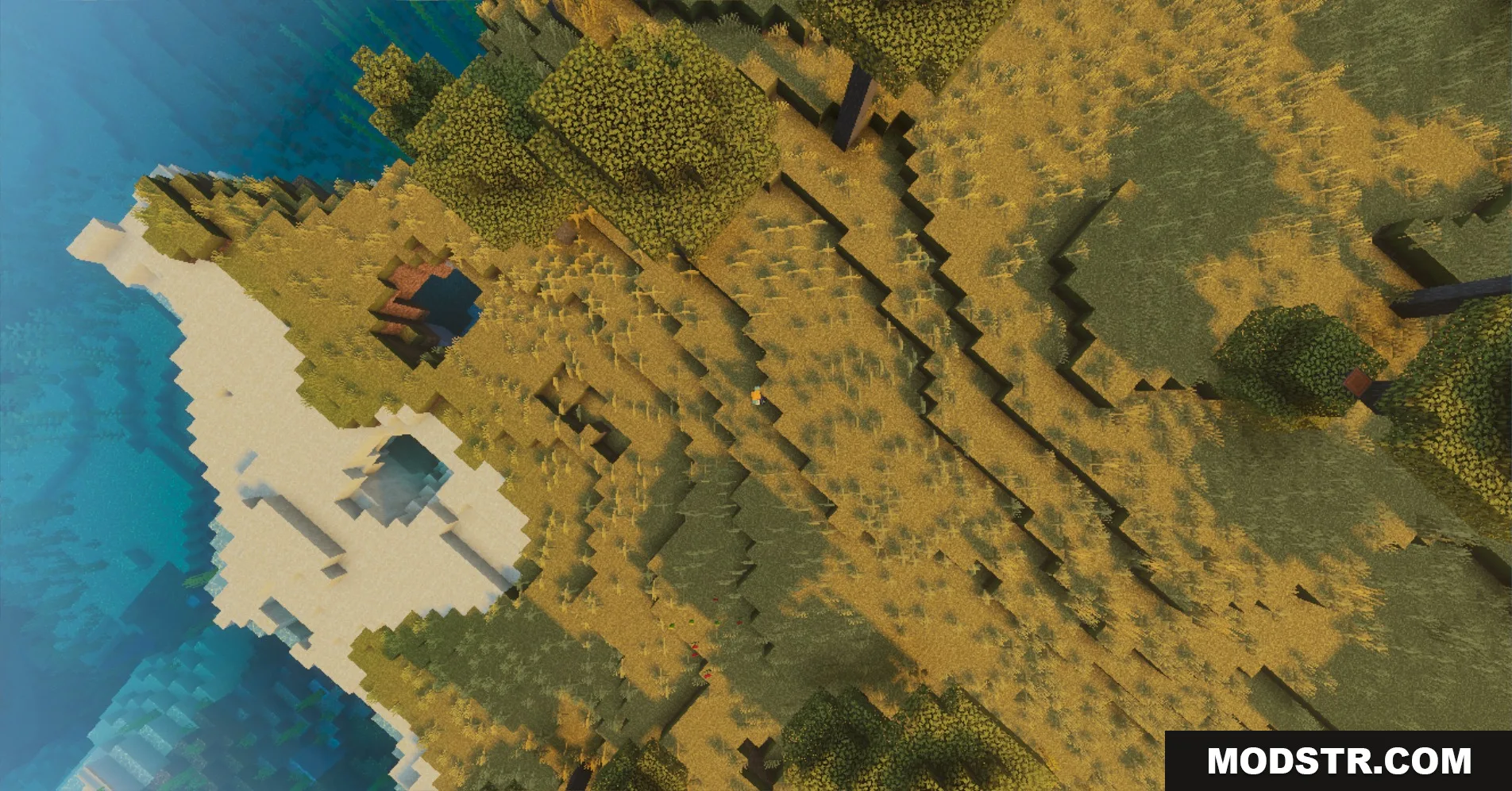 Aerial view of a savanna shoreline with scattered acacia trees and sandy beaches